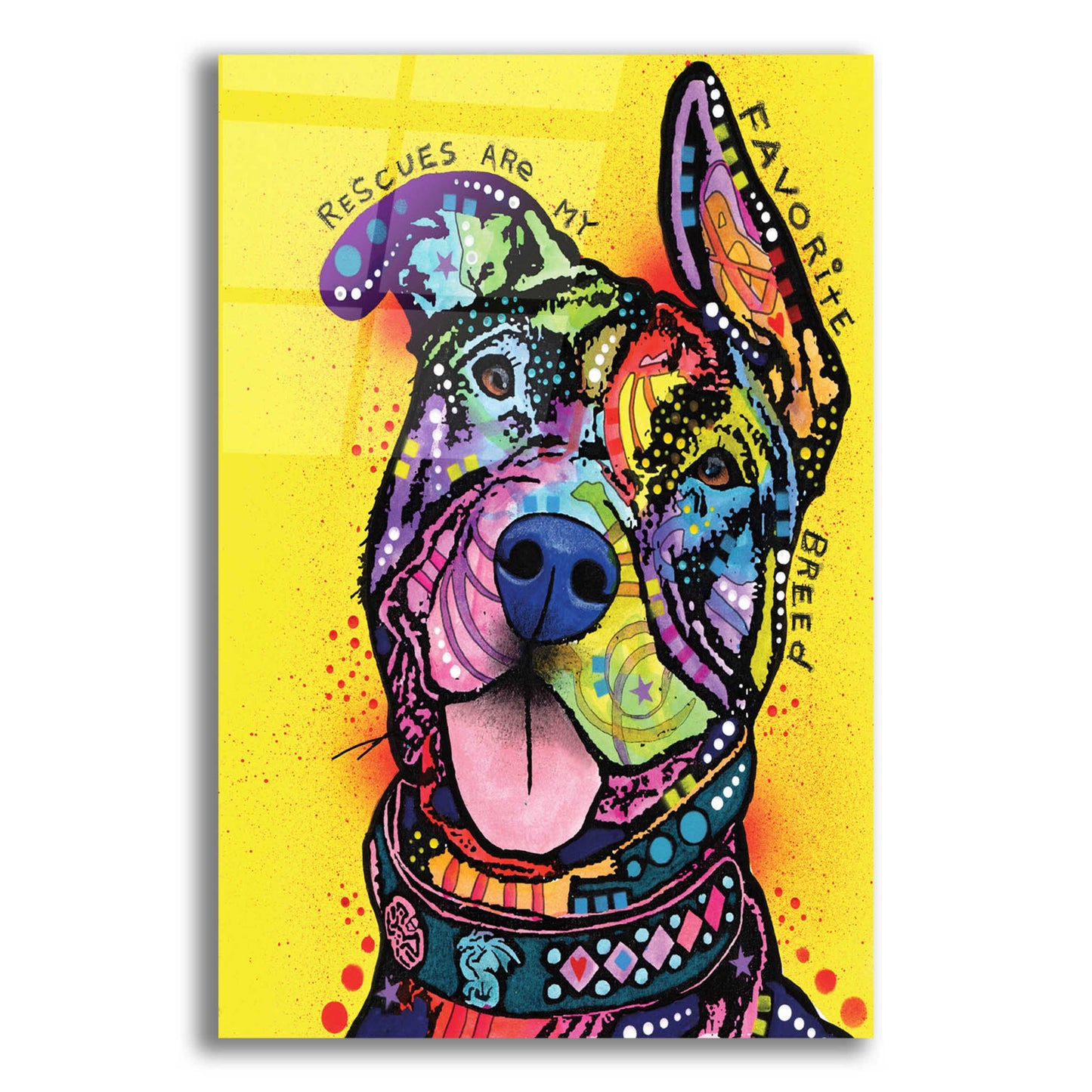 Epic Art 'My Favorite Breed' by Dean Russo, Acrylic Glass Wall Art,12x16