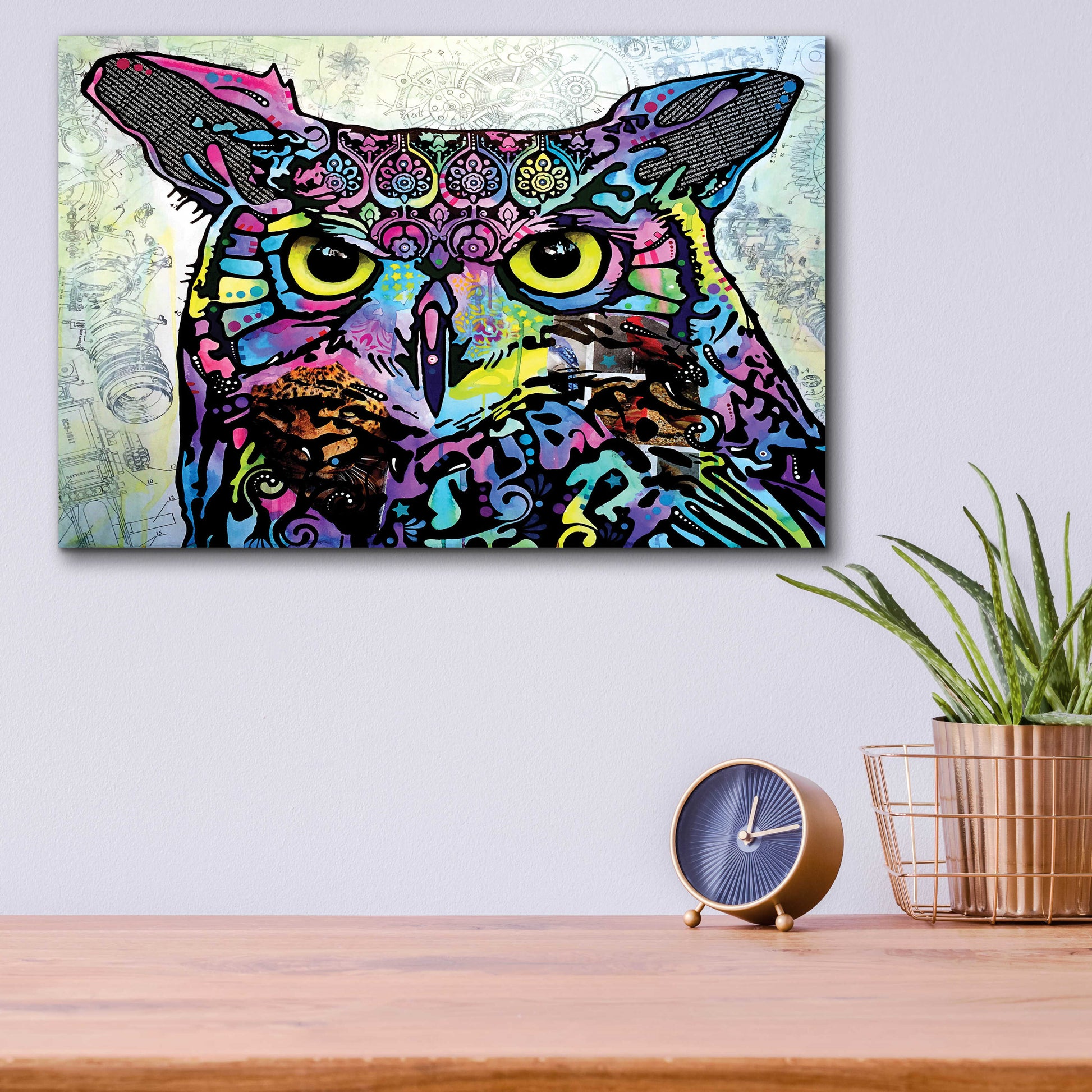 Epic Art 'The Owl' by Dean Russo, Acrylic Glass Wall Art,16x12