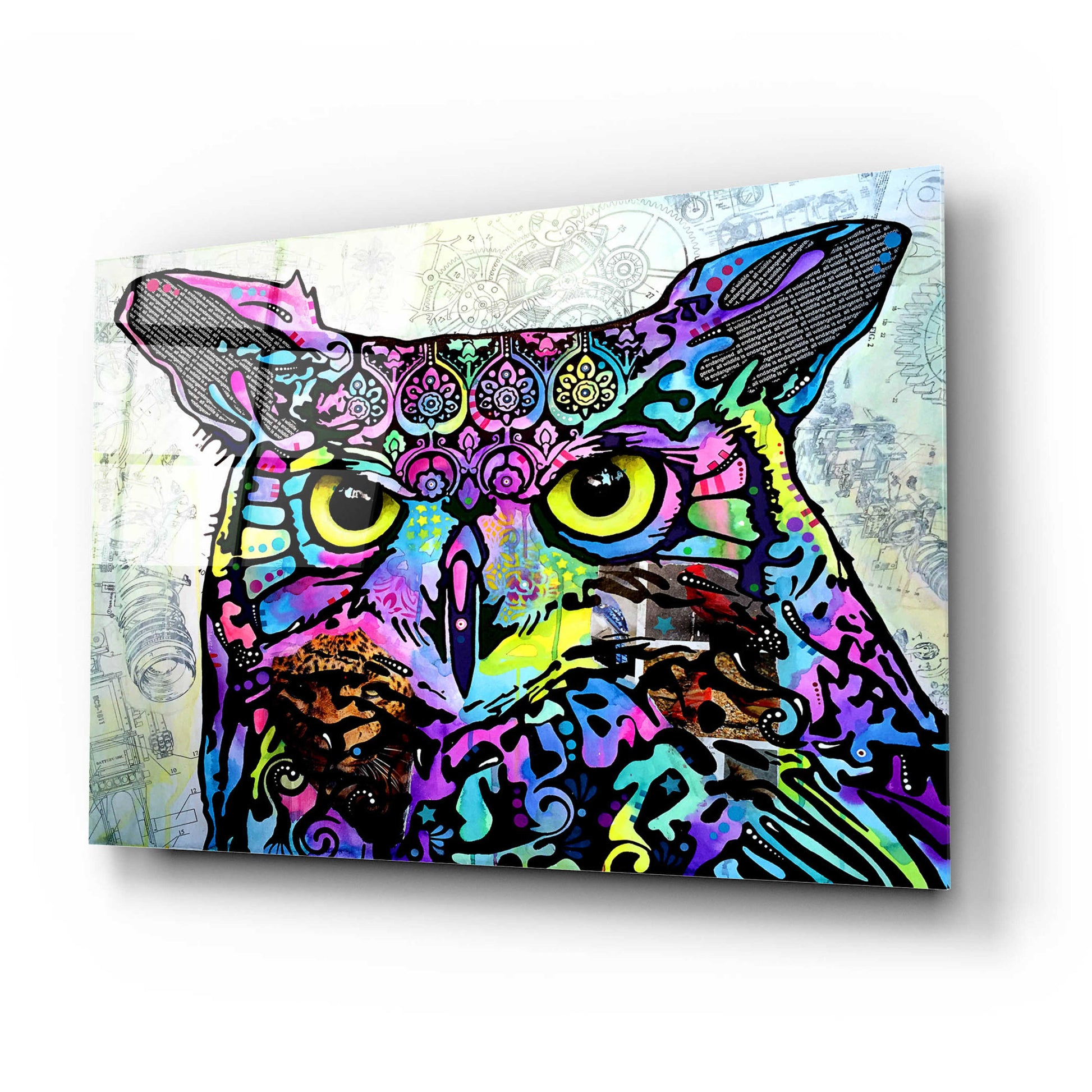Epic Art 'The Owl' by Dean Russo, Acrylic Glass Wall Art,24x16