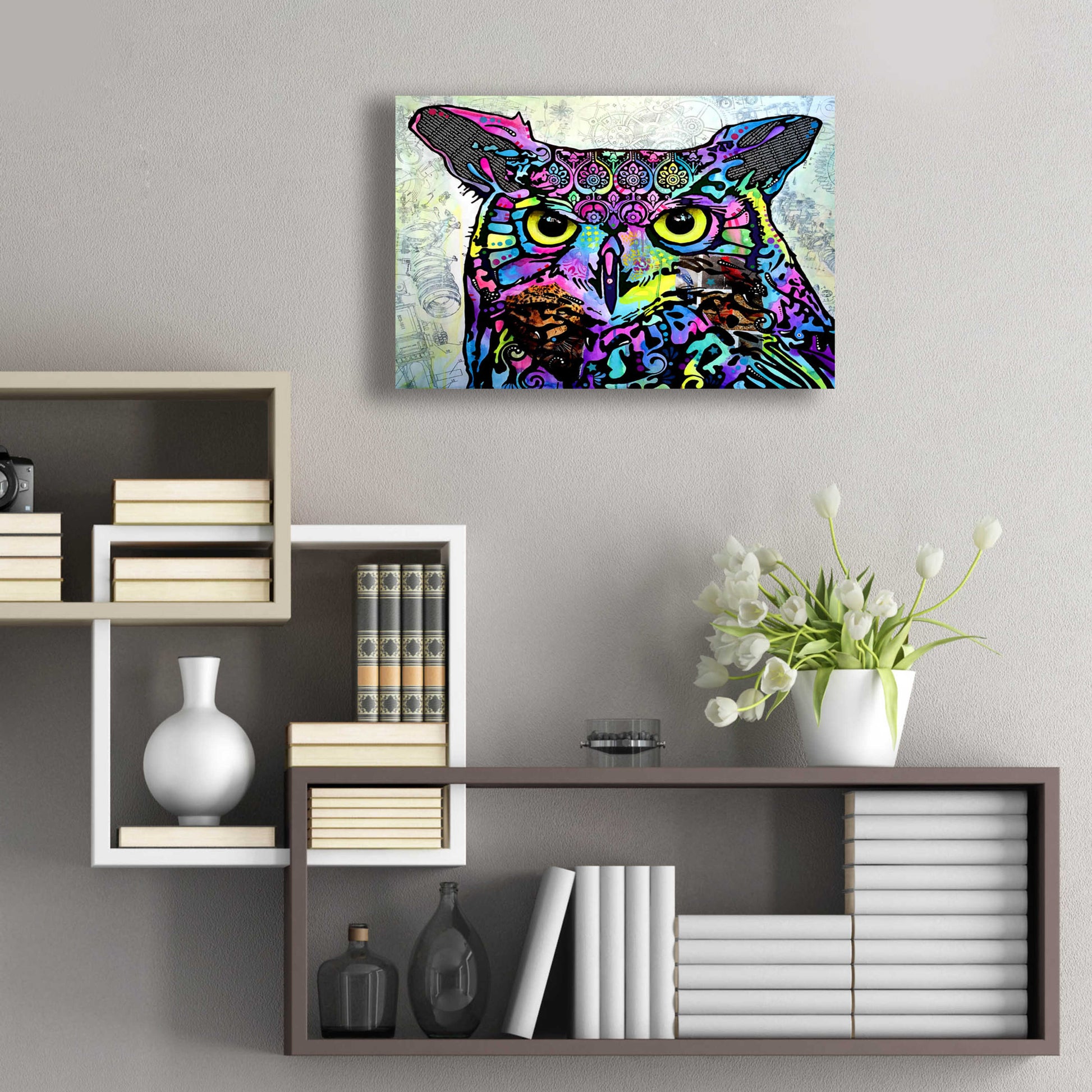 Epic Art 'The Owl' by Dean Russo, Acrylic Glass Wall Art,24x16