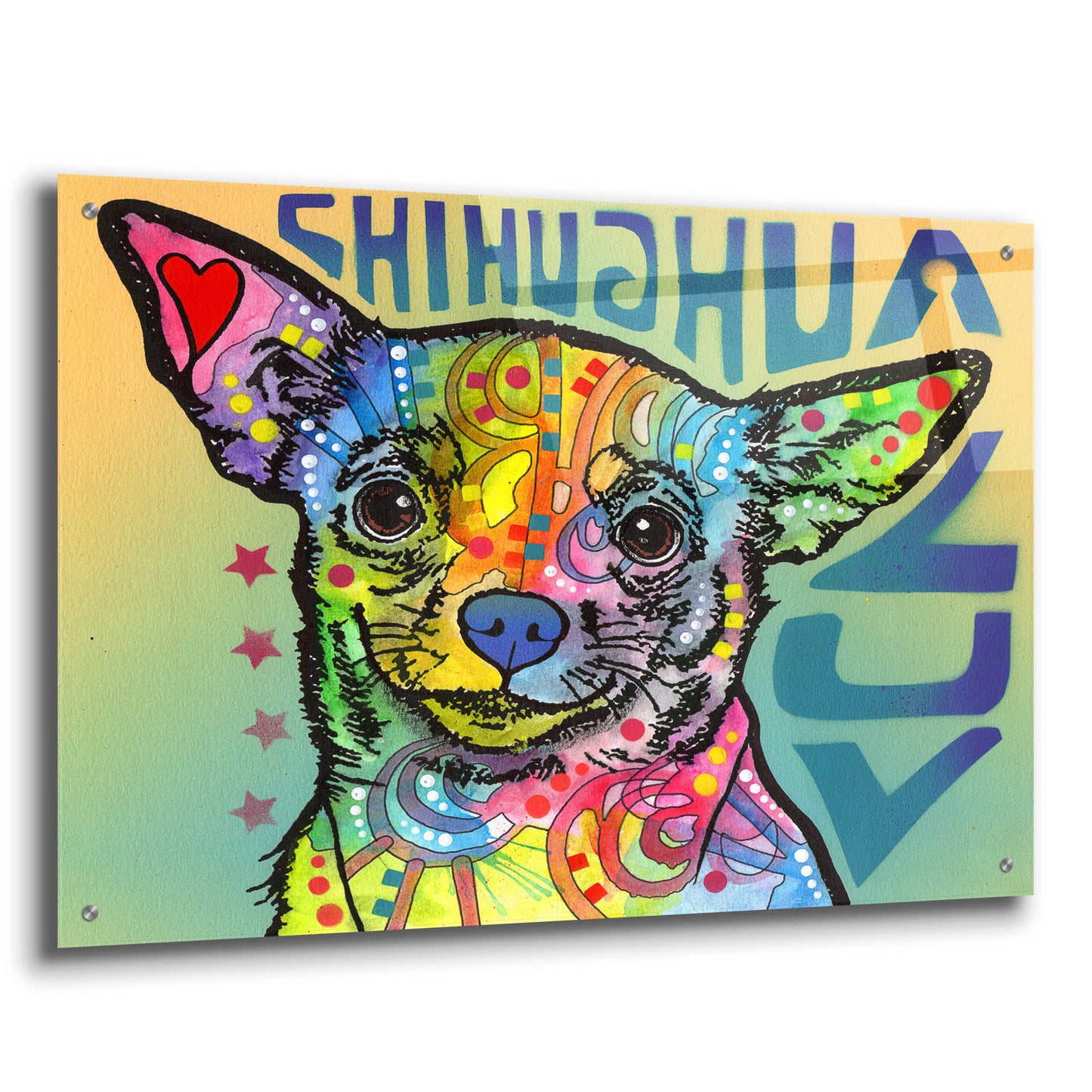 Epic Art 'Chihuahua Luv' by Dean Russo, Acrylic Glass Wall Art,36x24