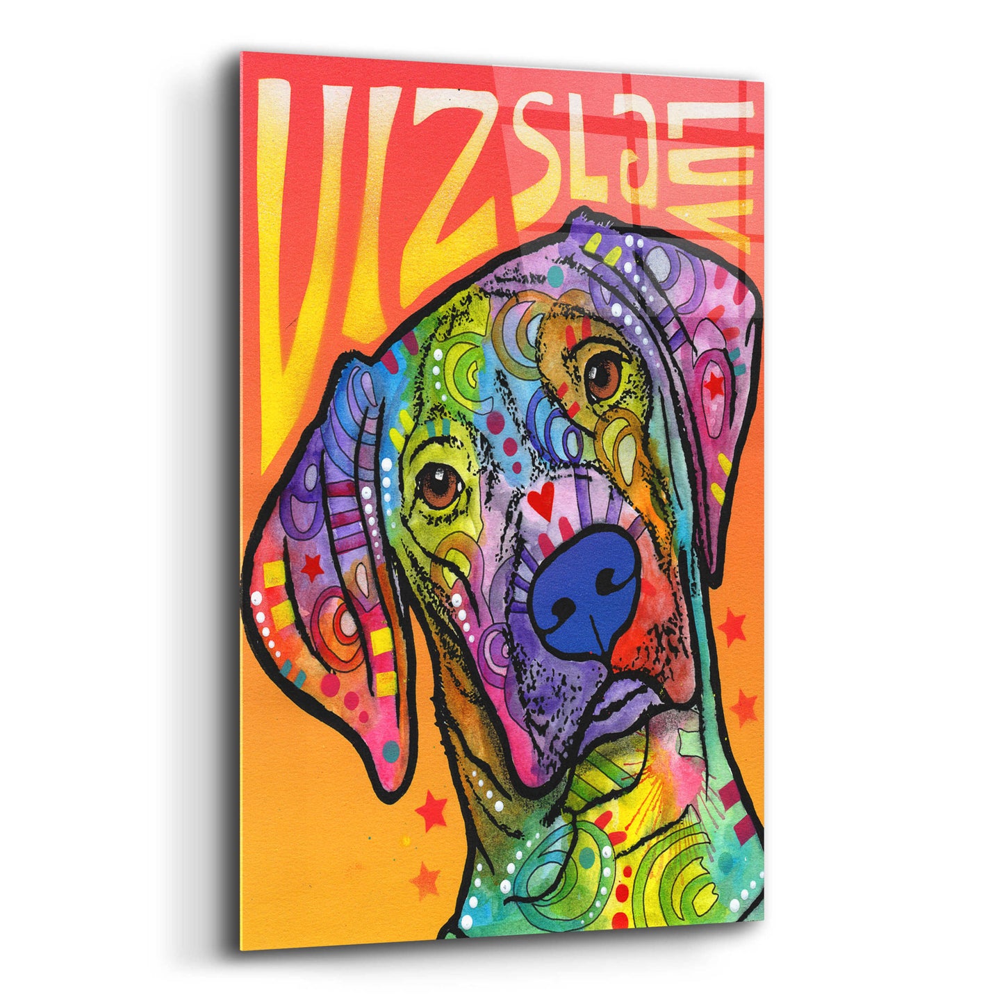 Epic Art 'Vizsla Luv' by Dean Russo, Acrylic Glass Wall Art,12x16