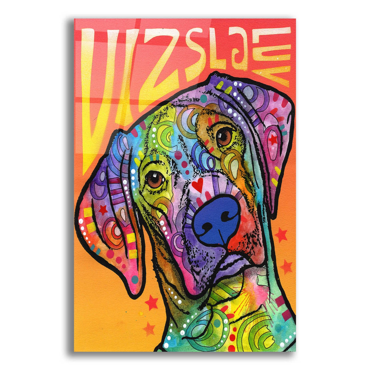 Epic Art 'Vizsla Luv' by Dean Russo, Acrylic Glass Wall Art,12x16