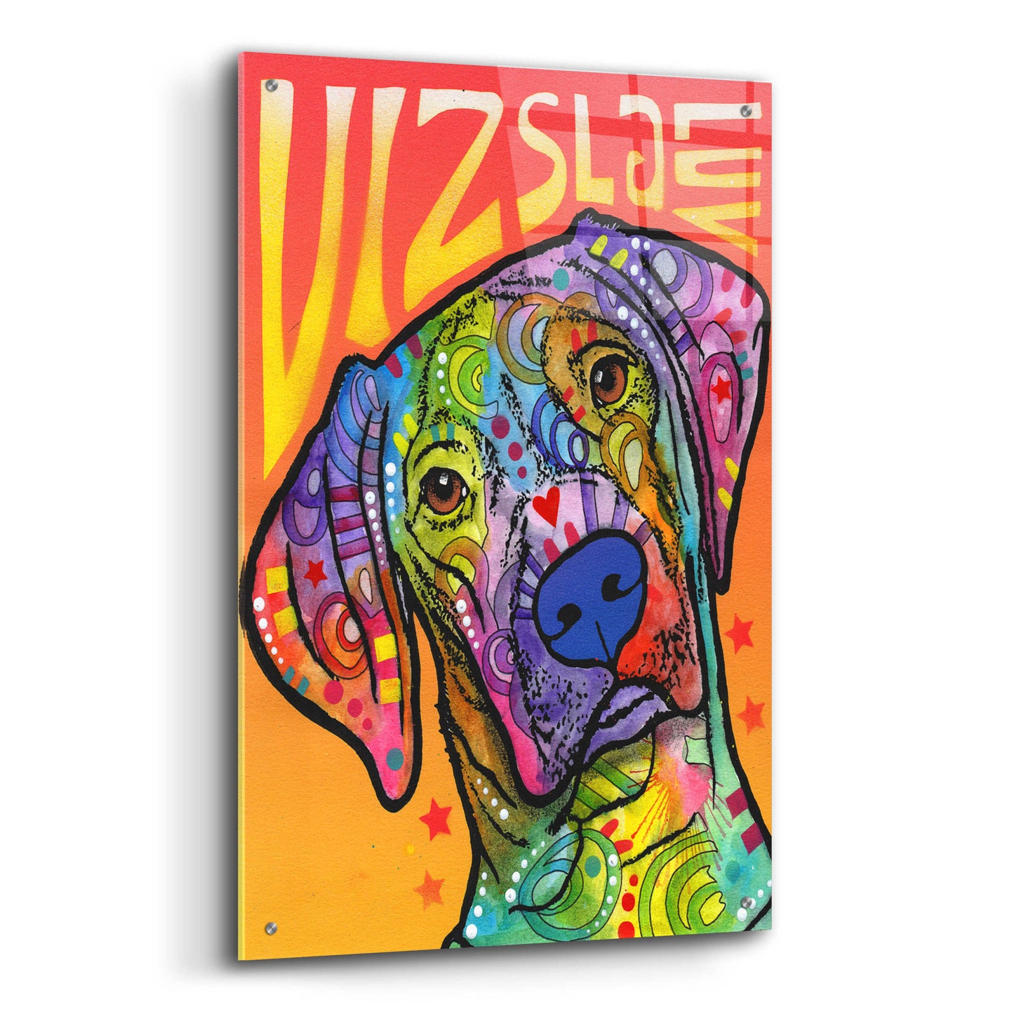 Epic Art 'Vizsla Luv' by Dean Russo, Acrylic Glass Wall Art,24x36