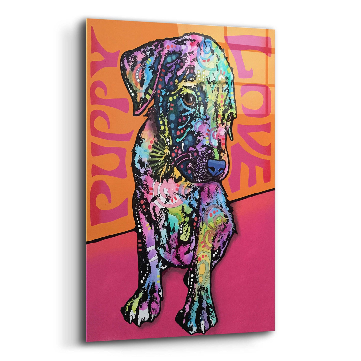 Epic Art 'Puppy Love' by Dean Russo, Acrylic Glass Wall Art,12x16