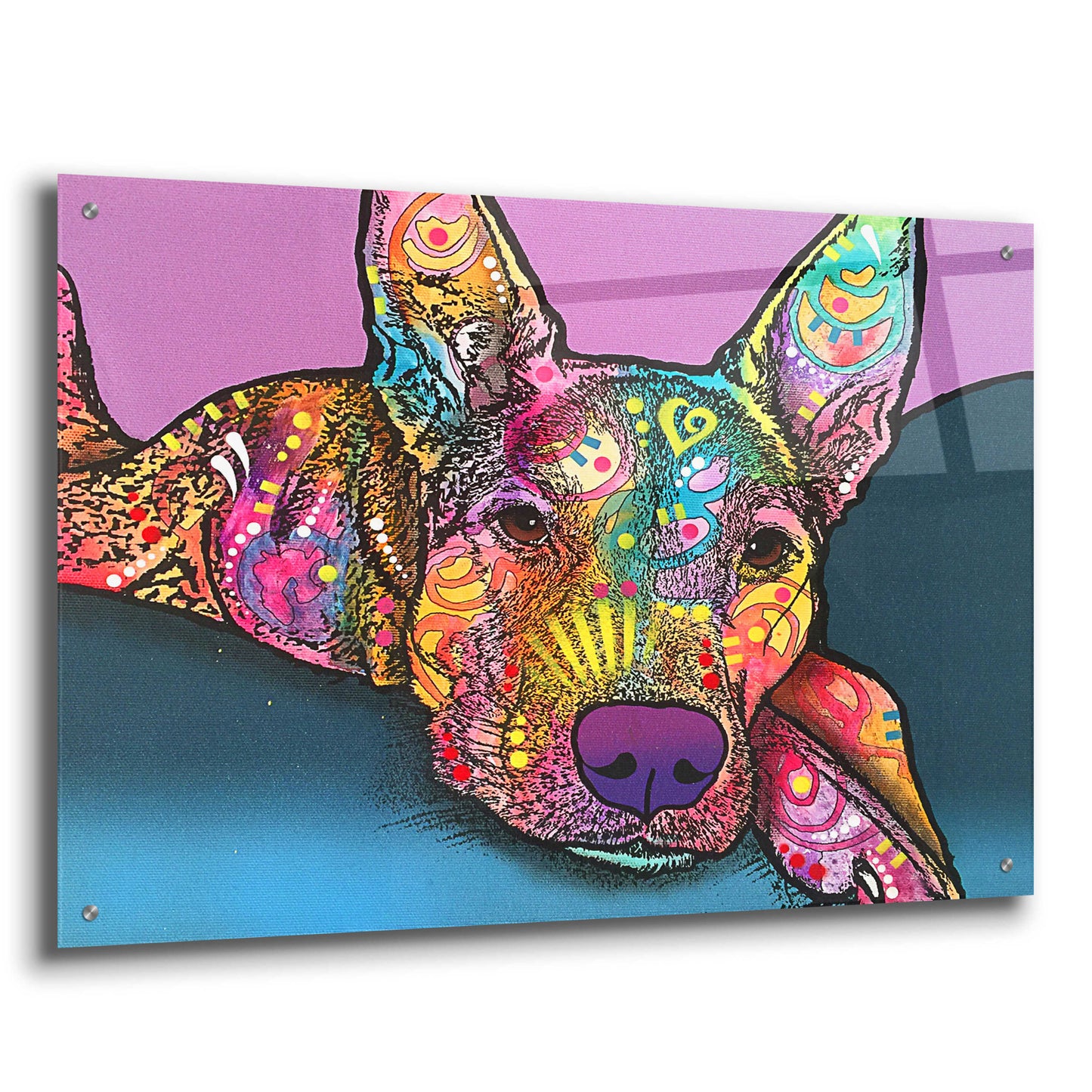 Epic Art 'Rocky' by Dean Russo, Acrylic Glass Wall Art,36x24