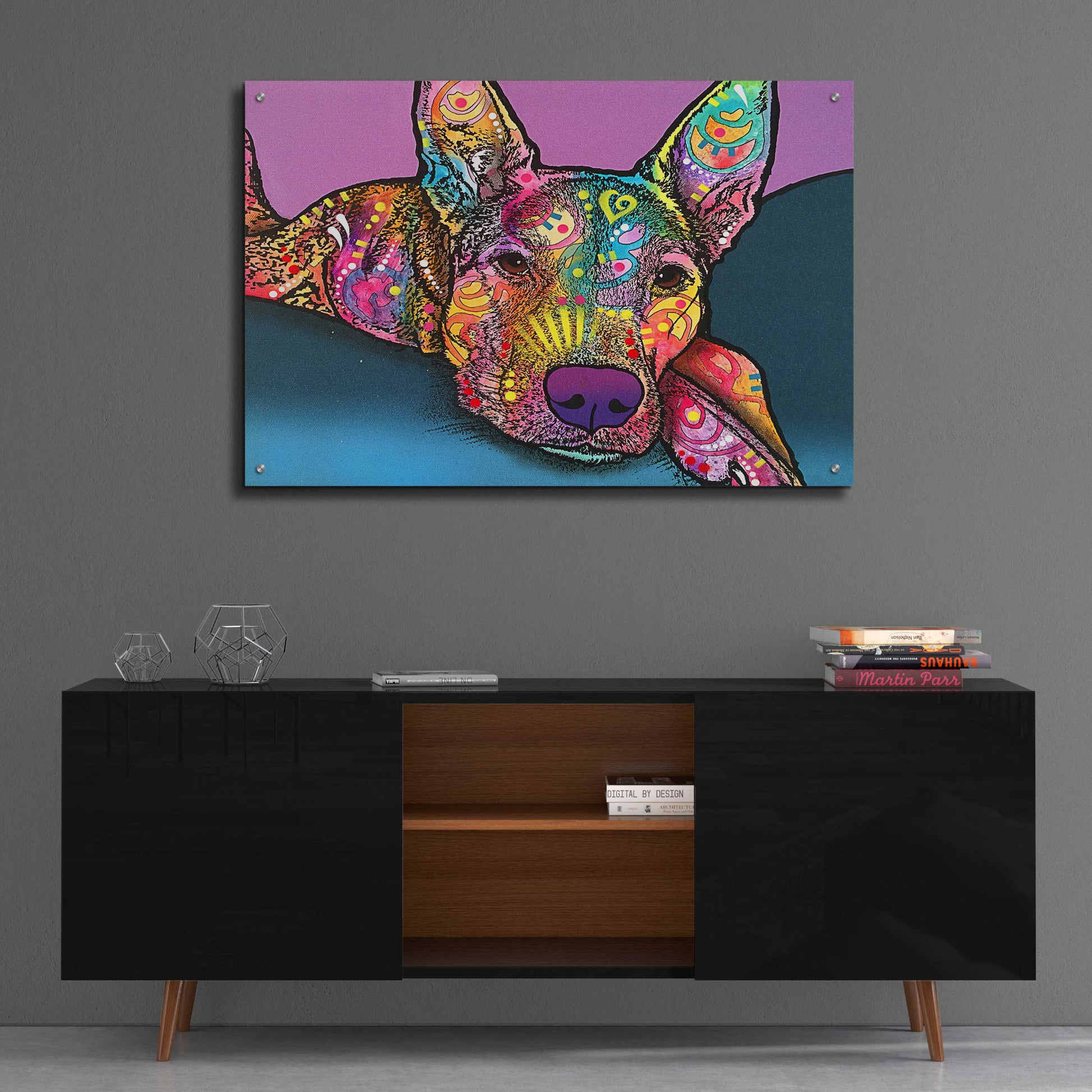 Epic Art 'Rocky' by Dean Russo, Acrylic Glass Wall Art,36x24