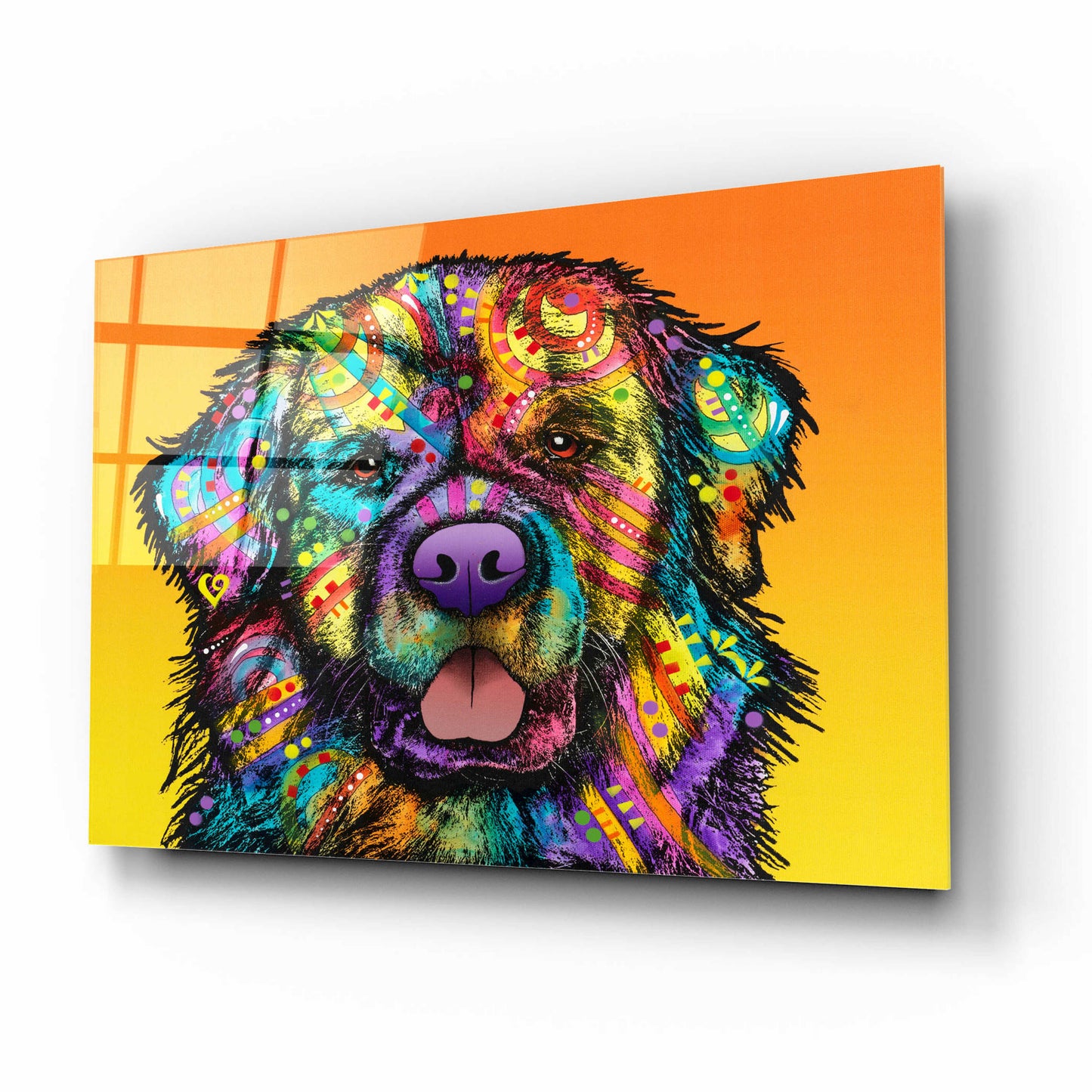 Epic Art 'Newfie' by Dean Russo, Acrylic Glass Wall Art,16x12