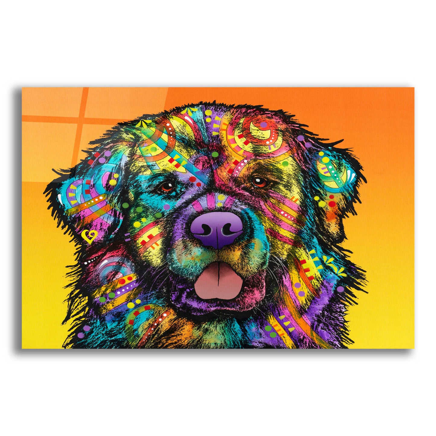 Epic Art 'Newfie' by Dean Russo, Acrylic Glass Wall Art,16x12