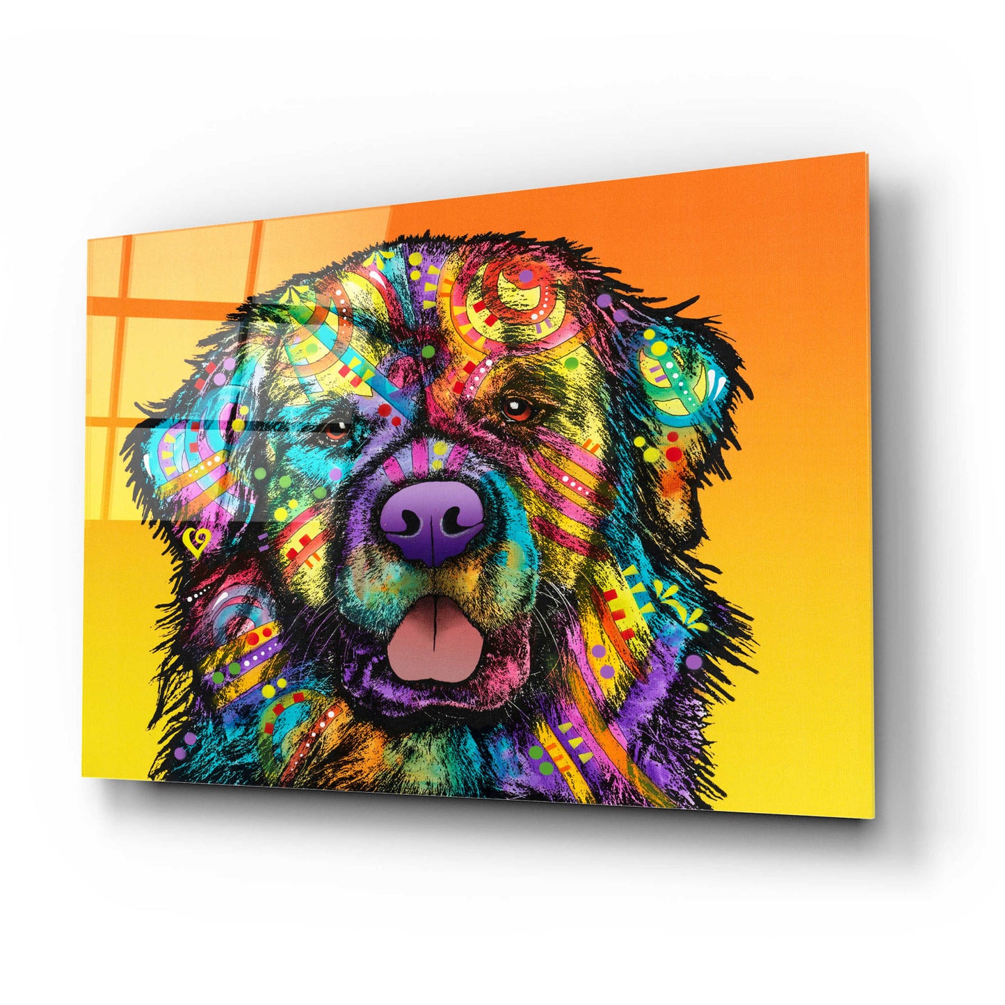 Epic Art 'Newfie' by Dean Russo, Acrylic Glass Wall Art,24x16