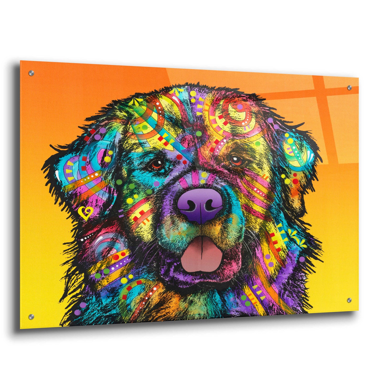 Epic Art 'Newfie' by Dean Russo, Acrylic Glass Wall Art,36x24