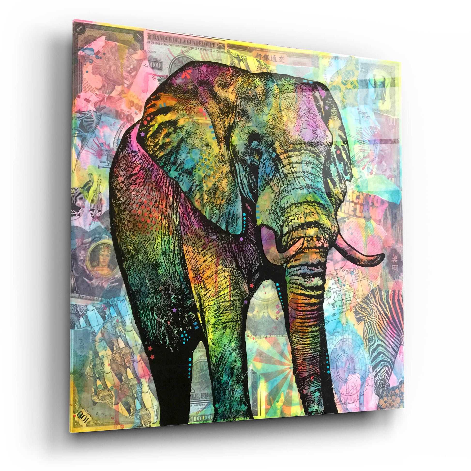 Epic Art 'Elephant Torn' by Dean Russo, Acrylic Glass Wall Art,12x12