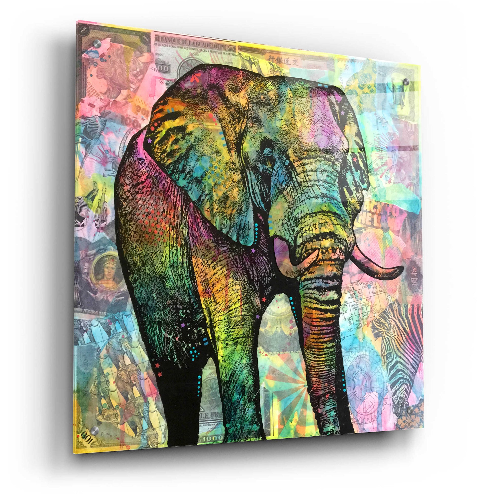 Epic Art 'Elephant Torn' by Dean Russo, Acrylic Glass Wall Art,24x24