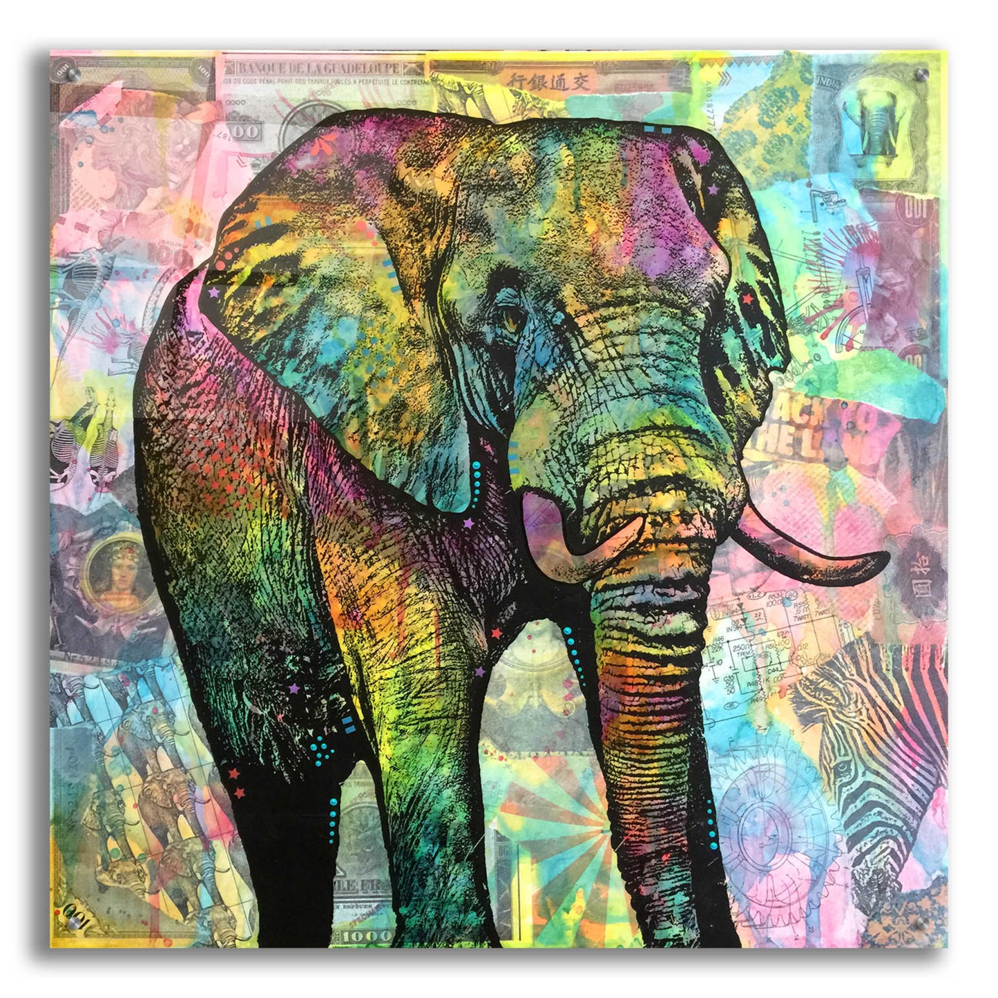 Epic Art 'Elephant Torn' by Dean Russo, Acrylic Glass Wall Art,36x36