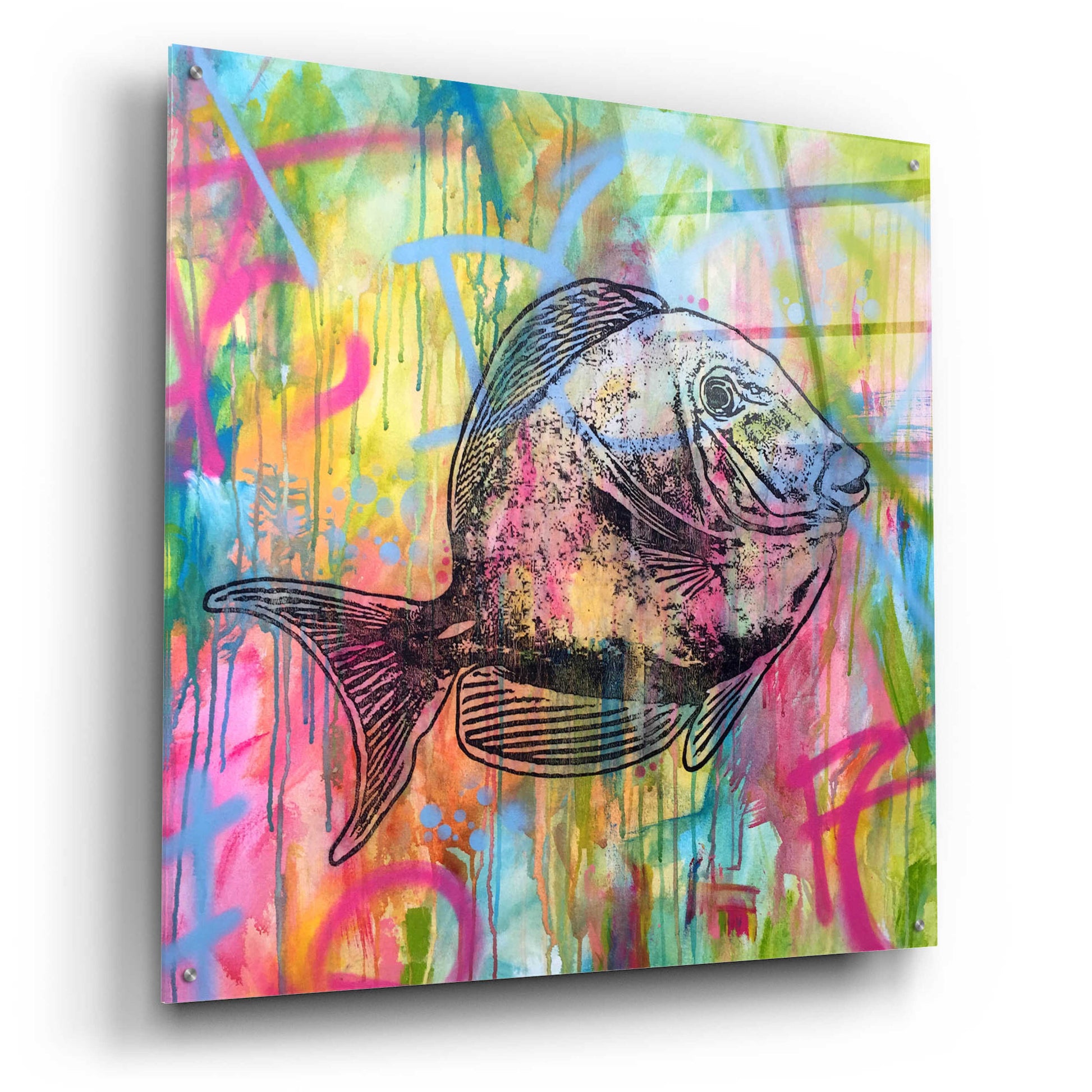 Epic Art 'Fishy Spray' by Dean Russo, Acrylic Glass Wall Art,36x36