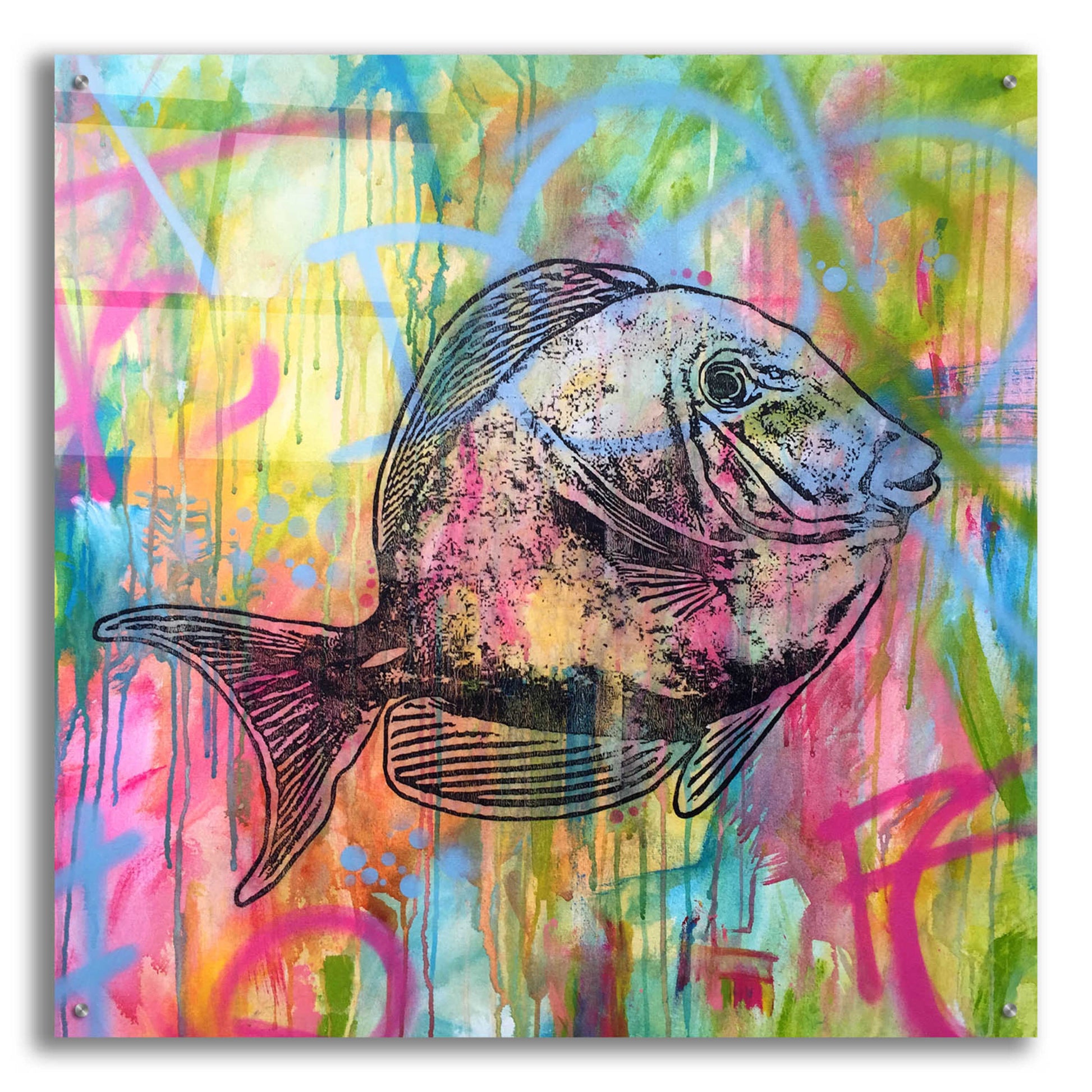 Epic Art 'Fishy Spray' by Dean Russo, Acrylic Glass Wall Art,36x36