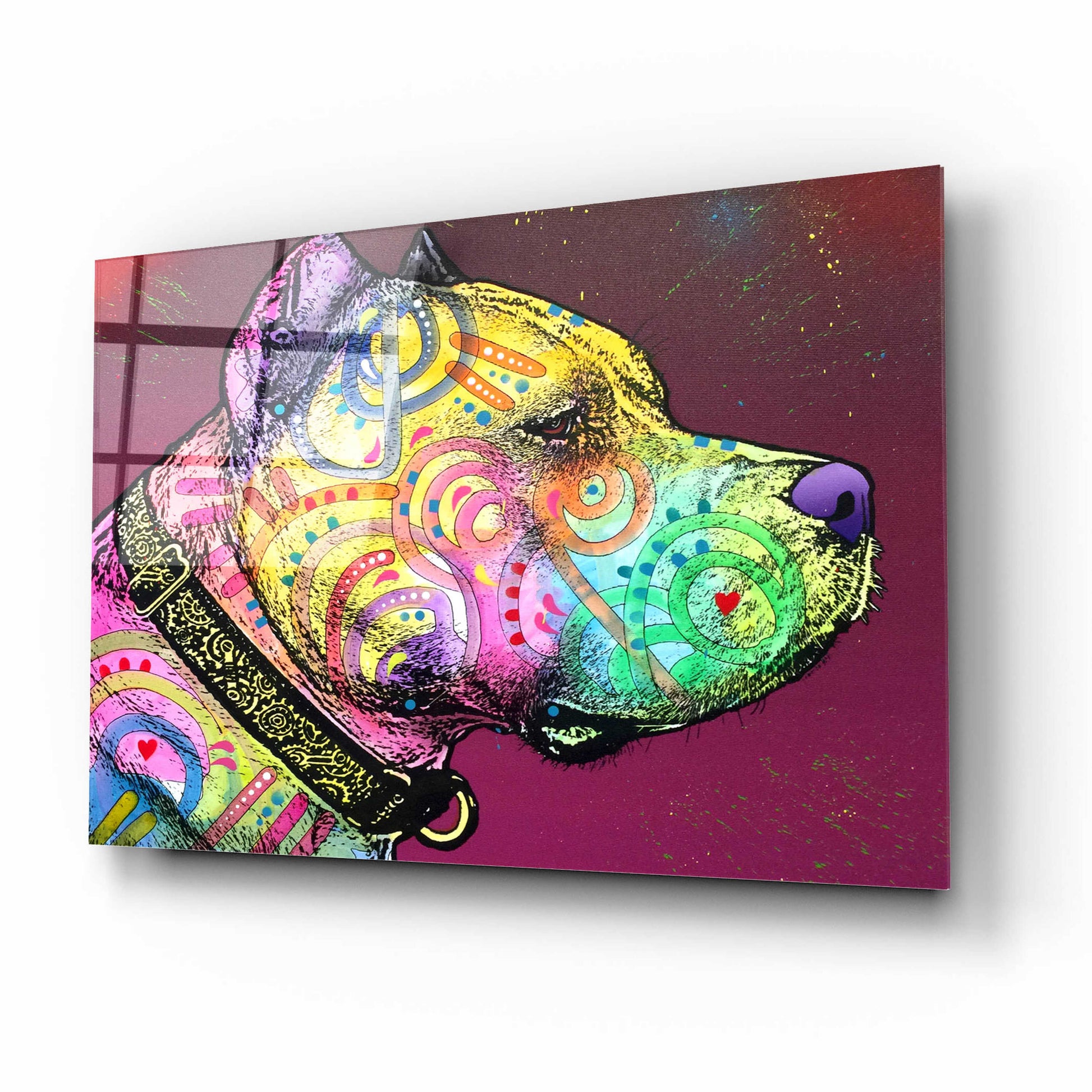 Epic Art 'Pitbull Soul' by Dean Russo, Acrylic Glass Wall Art,16x12