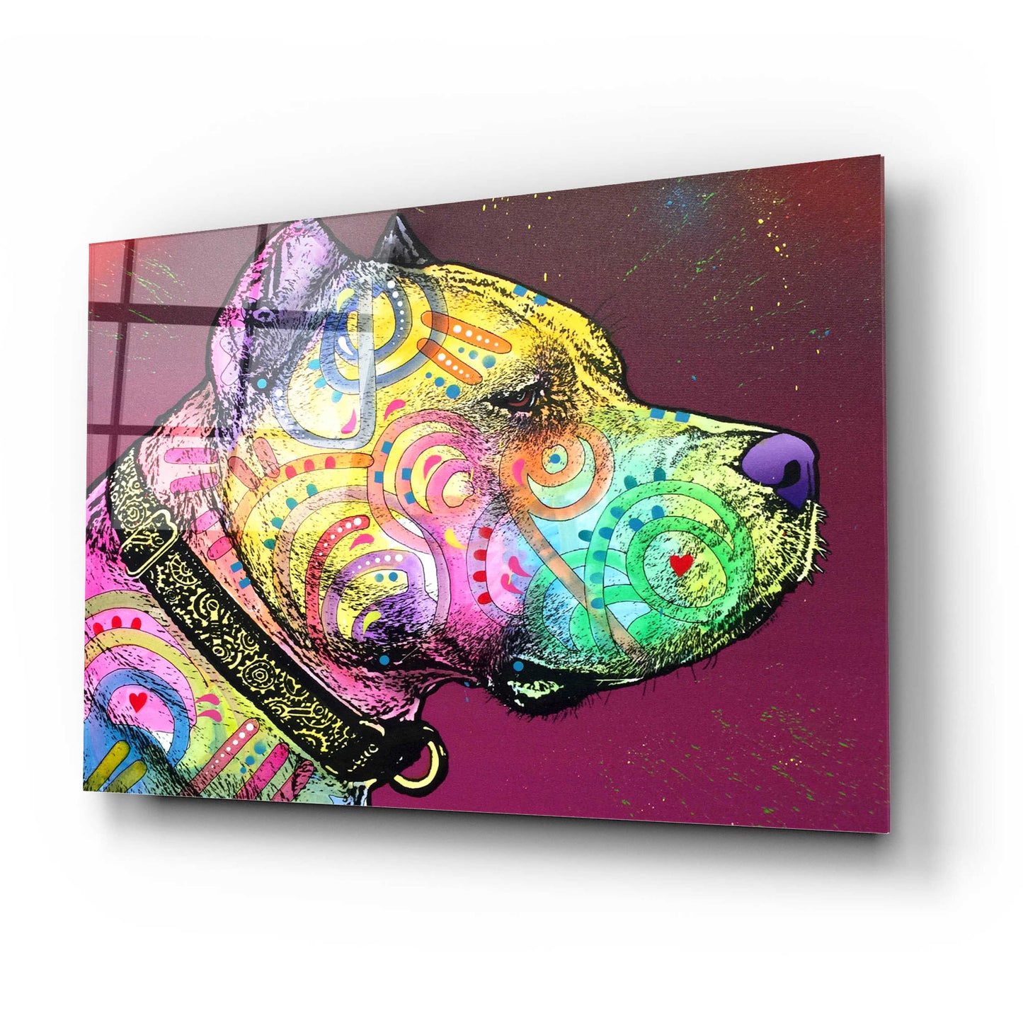 Epic Art 'Pitbull Soul' by Dean Russo, Acrylic Glass Wall Art,24x16