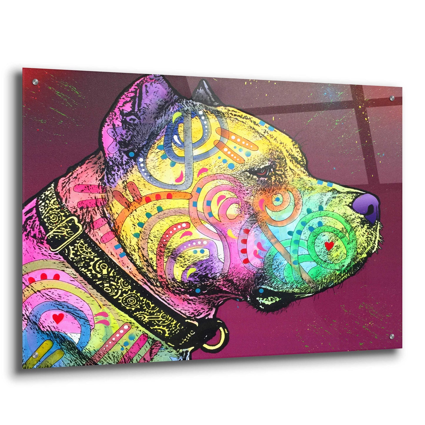 Epic Art 'Pitbull Soul' by Dean Russo, Acrylic Glass Wall Art,36x24