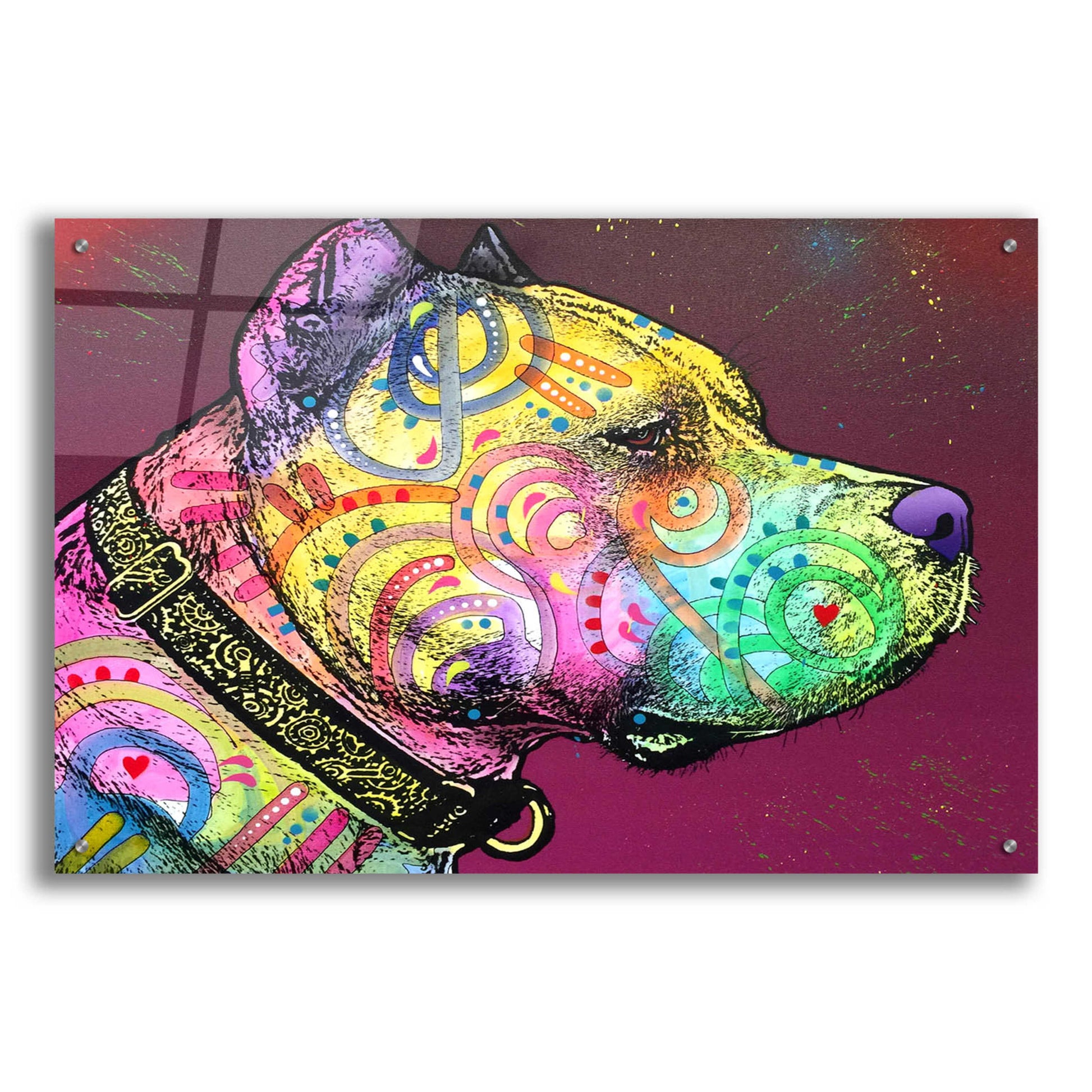 Epic Art 'Pitbull Soul' by Dean Russo, Acrylic Glass Wall Art,36x24