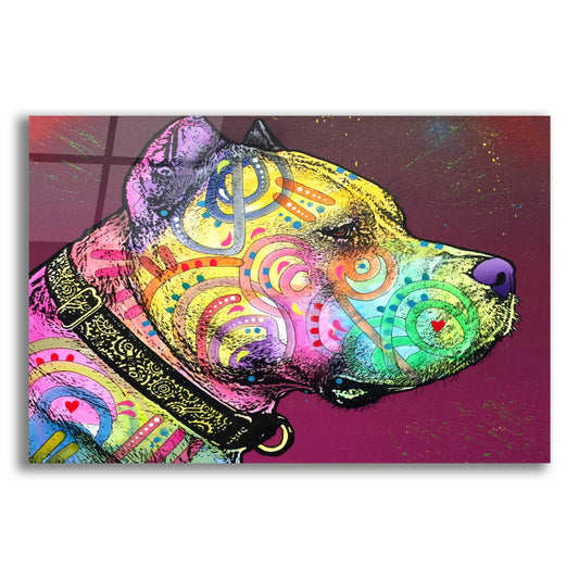 Epic Art 'Pitbull Soul' by Dean Russo, Acrylic Glass Wall Art