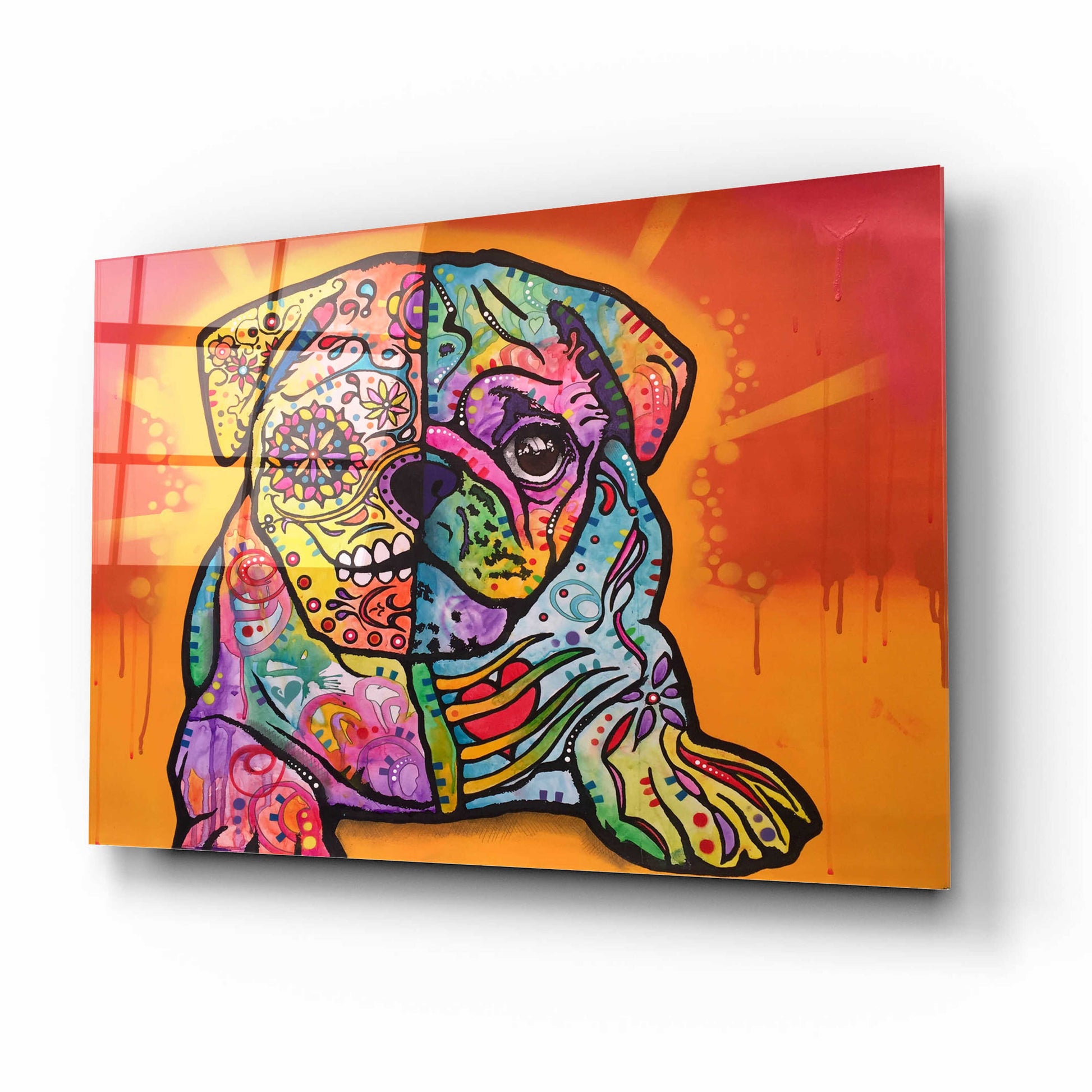 Epic Art 'Sugar Pug' by Dean Russo, Acrylic Glass Wall Art,16x12