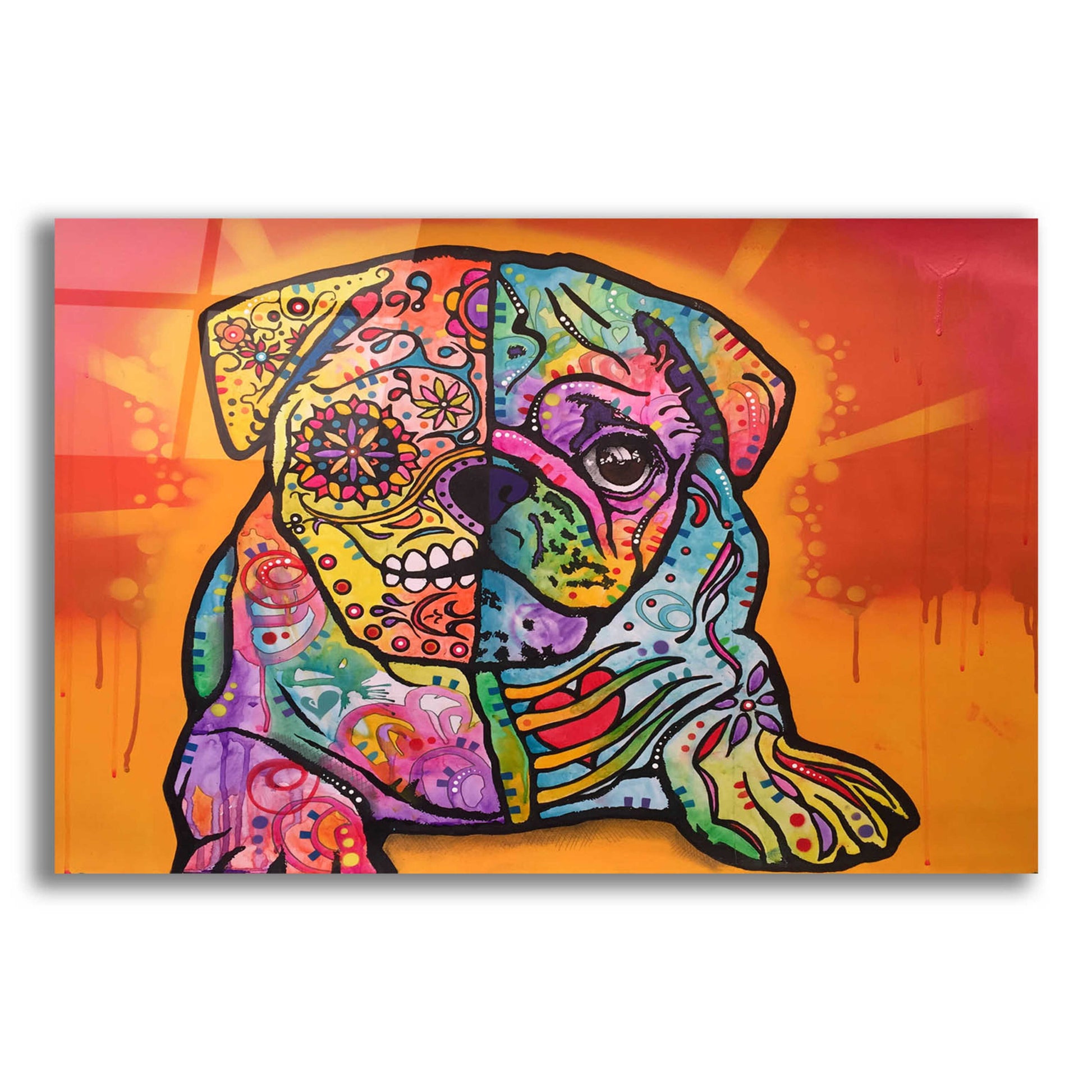 Epic Art 'Sugar Pug' by Dean Russo, Acrylic Glass Wall Art,16x12