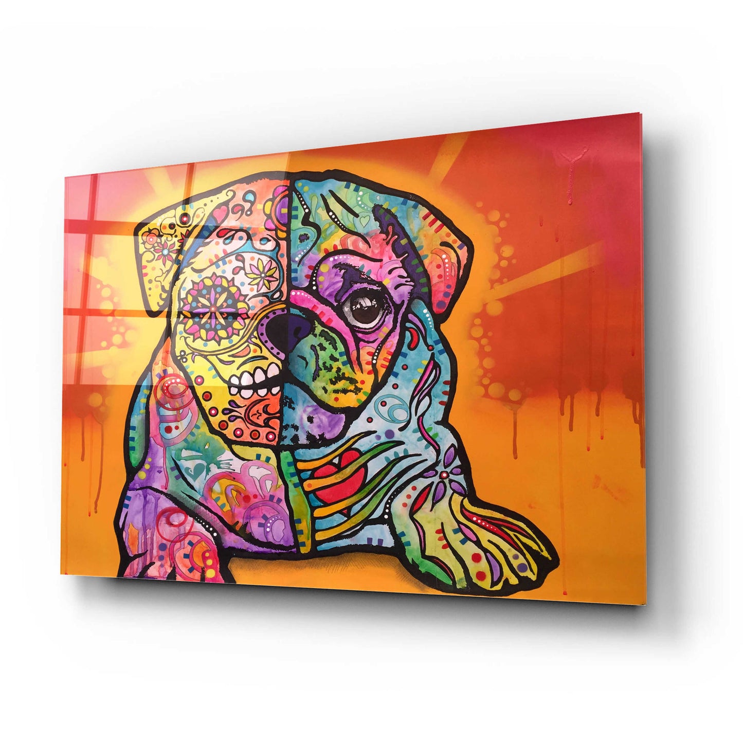 Epic Art 'Sugar Pug' by Dean Russo, Acrylic Glass Wall Art,24x16