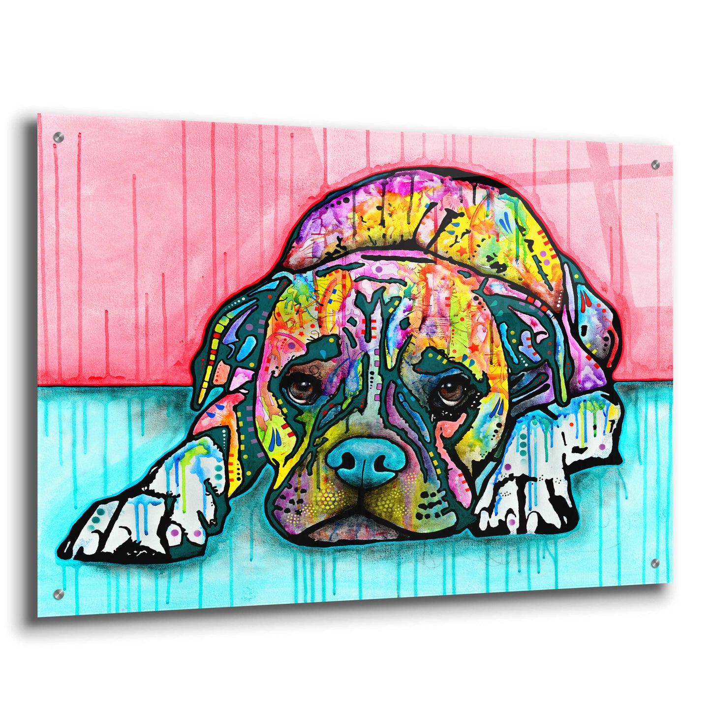 Epic Art 'Lying Boxer' by Dean Russo, Acrylic Glass Wall Art,36x24