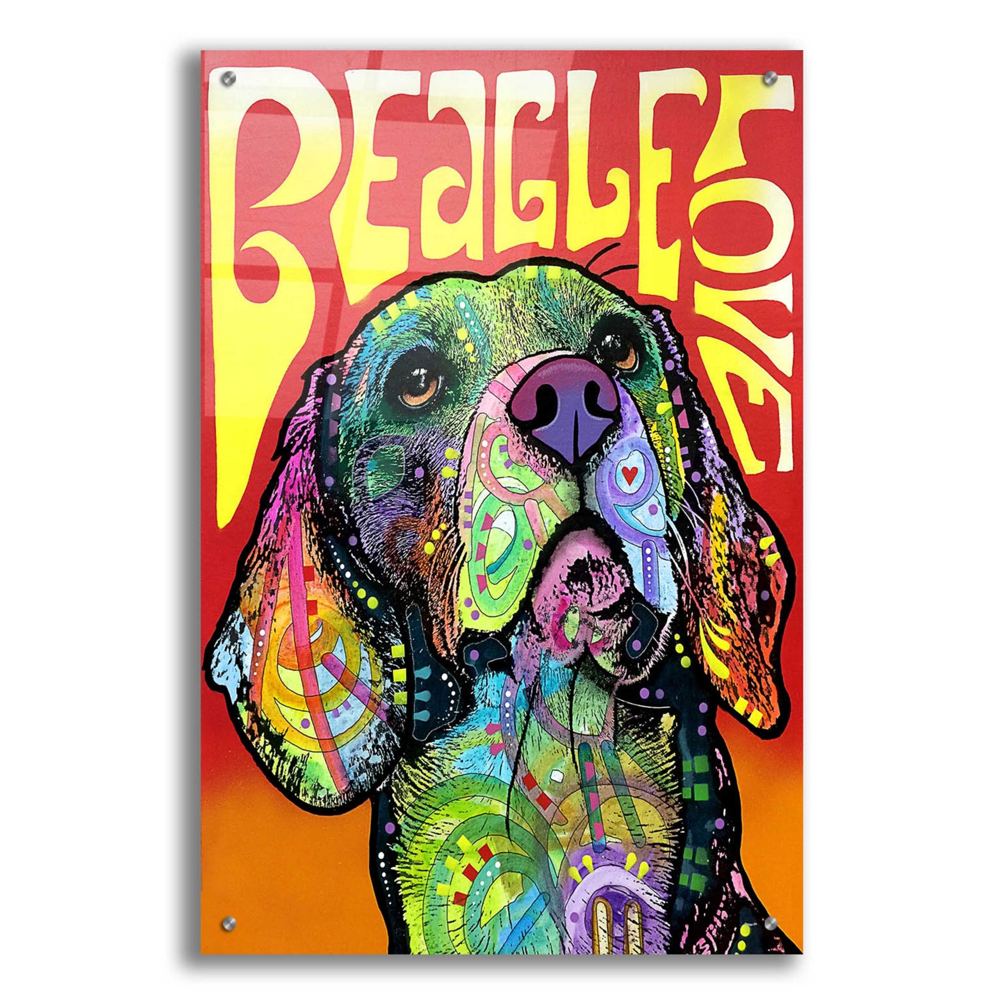 Epic Art 'Beagle Love' by Dean Russo, Acrylic Glass Wall Art,24x36