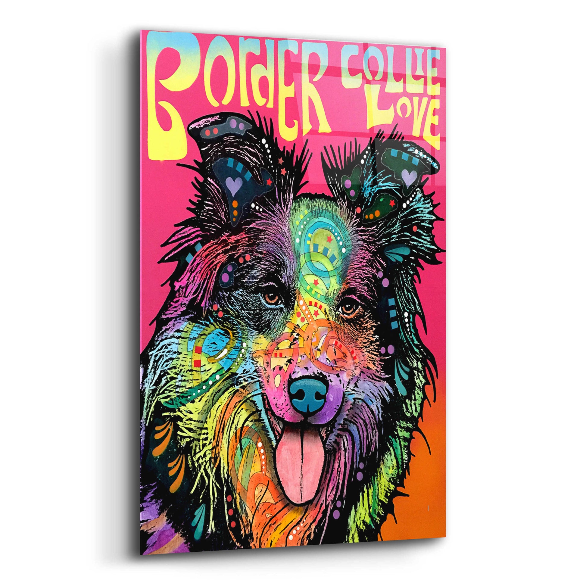 Epic Art 'Border Collie Luv' by Dean Russo, Acrylic Glass Wall Art,12x16