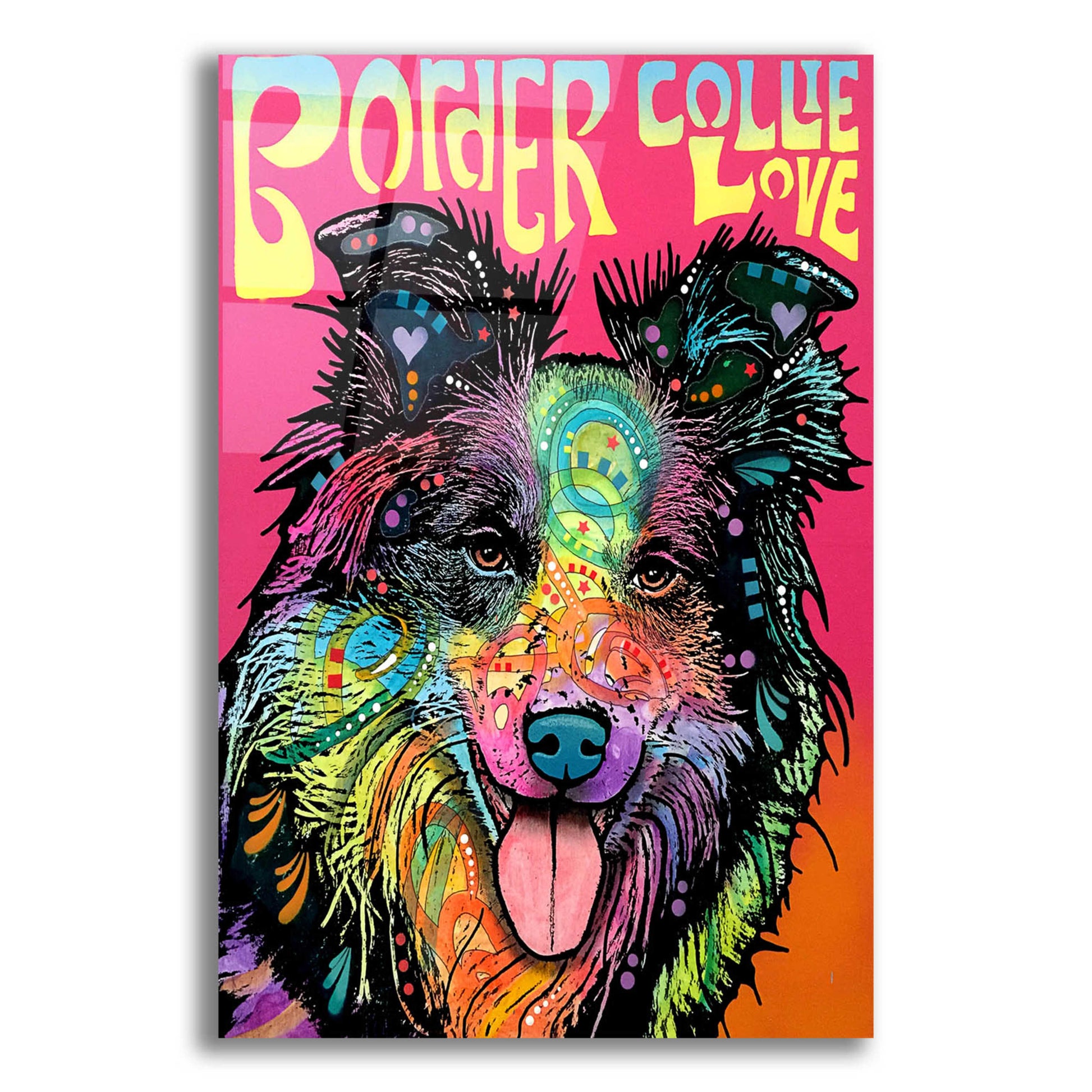 Epic Art 'Border Collie Luv' by Dean Russo, Acrylic Glass Wall Art,12x16