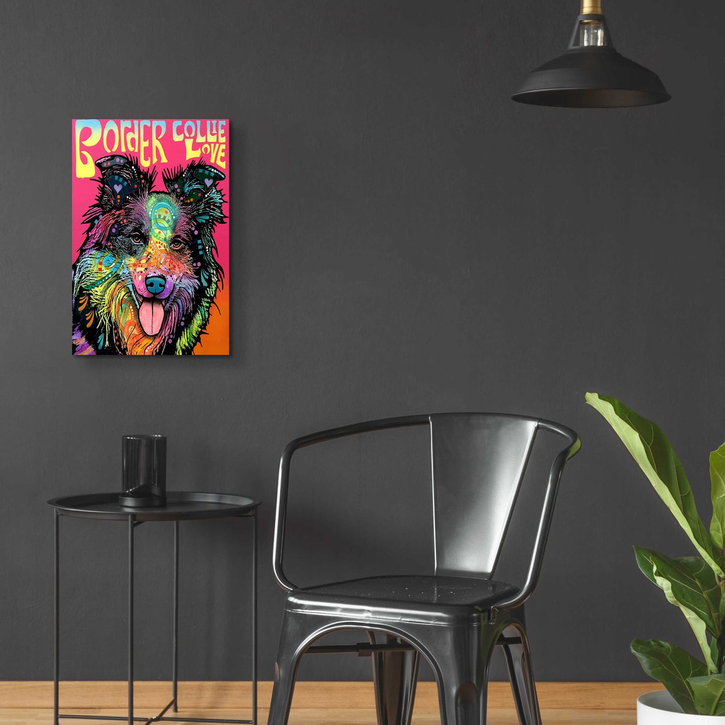 Epic Art 'Border Collie Luv' by Dean Russo, Acrylic Glass Wall Art,16x24