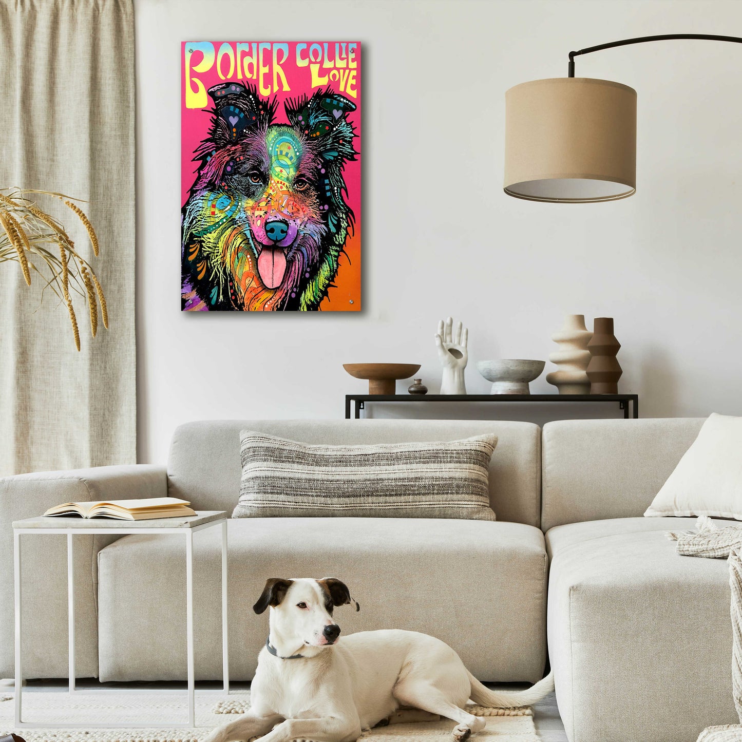 Epic Art 'Border Collie Luv' by Dean Russo, Acrylic Glass Wall Art,24x36