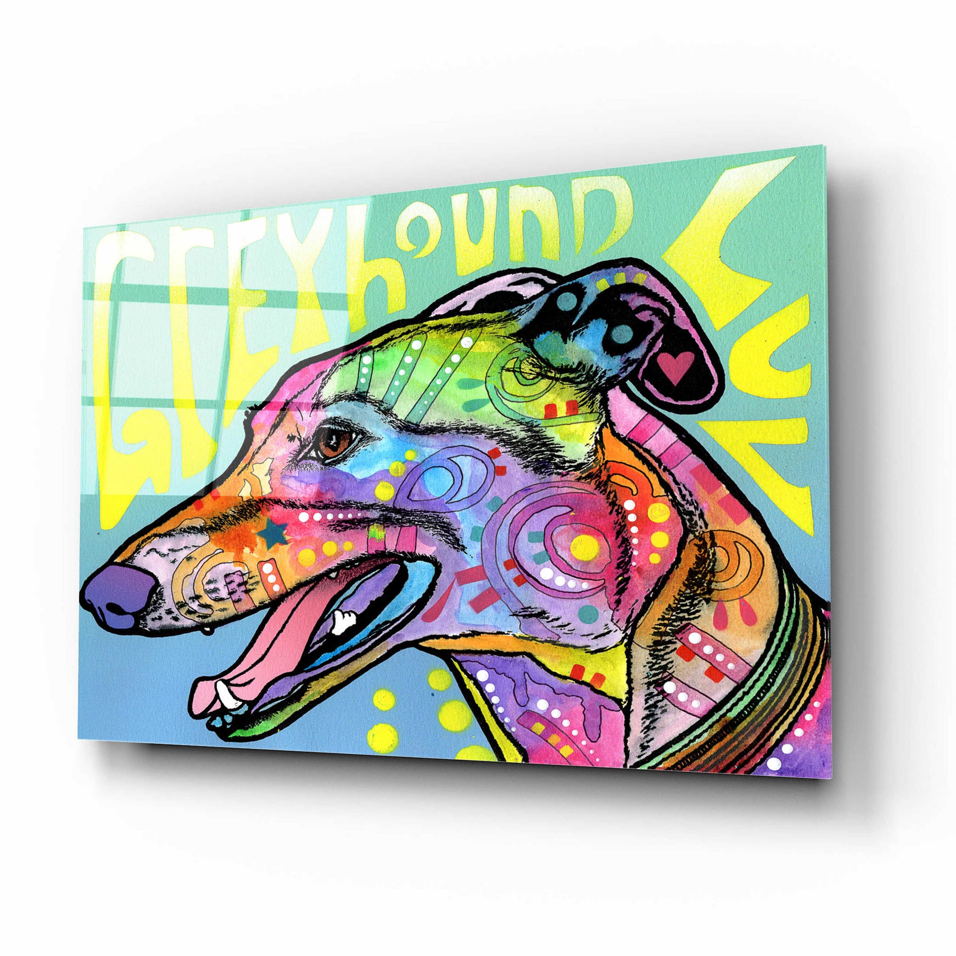 Epic Art 'Greyhound Luv' by Dean Russo, Acrylic Glass Wall Art,16x12