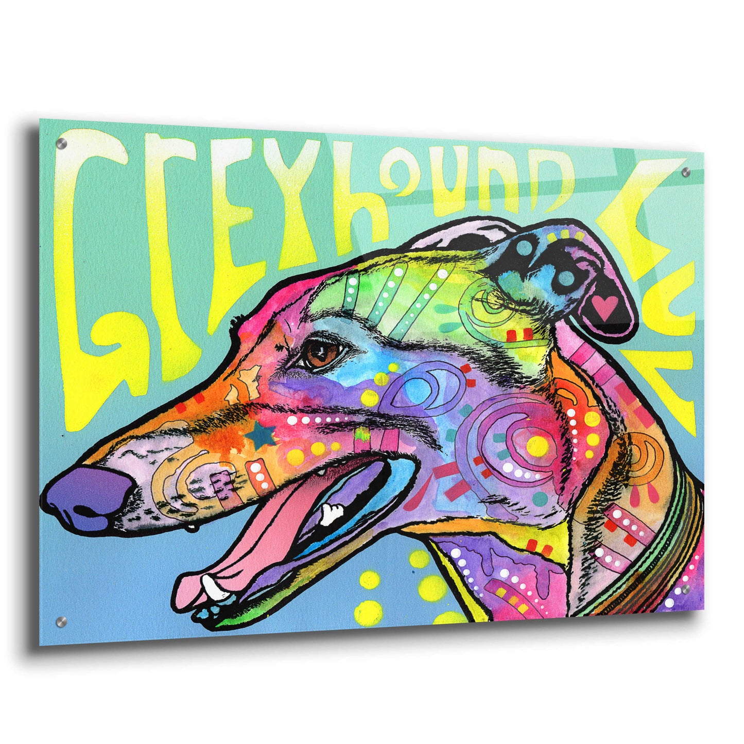 Epic Art 'Greyhound Luv' by Dean Russo, Acrylic Glass Wall Art,36x24