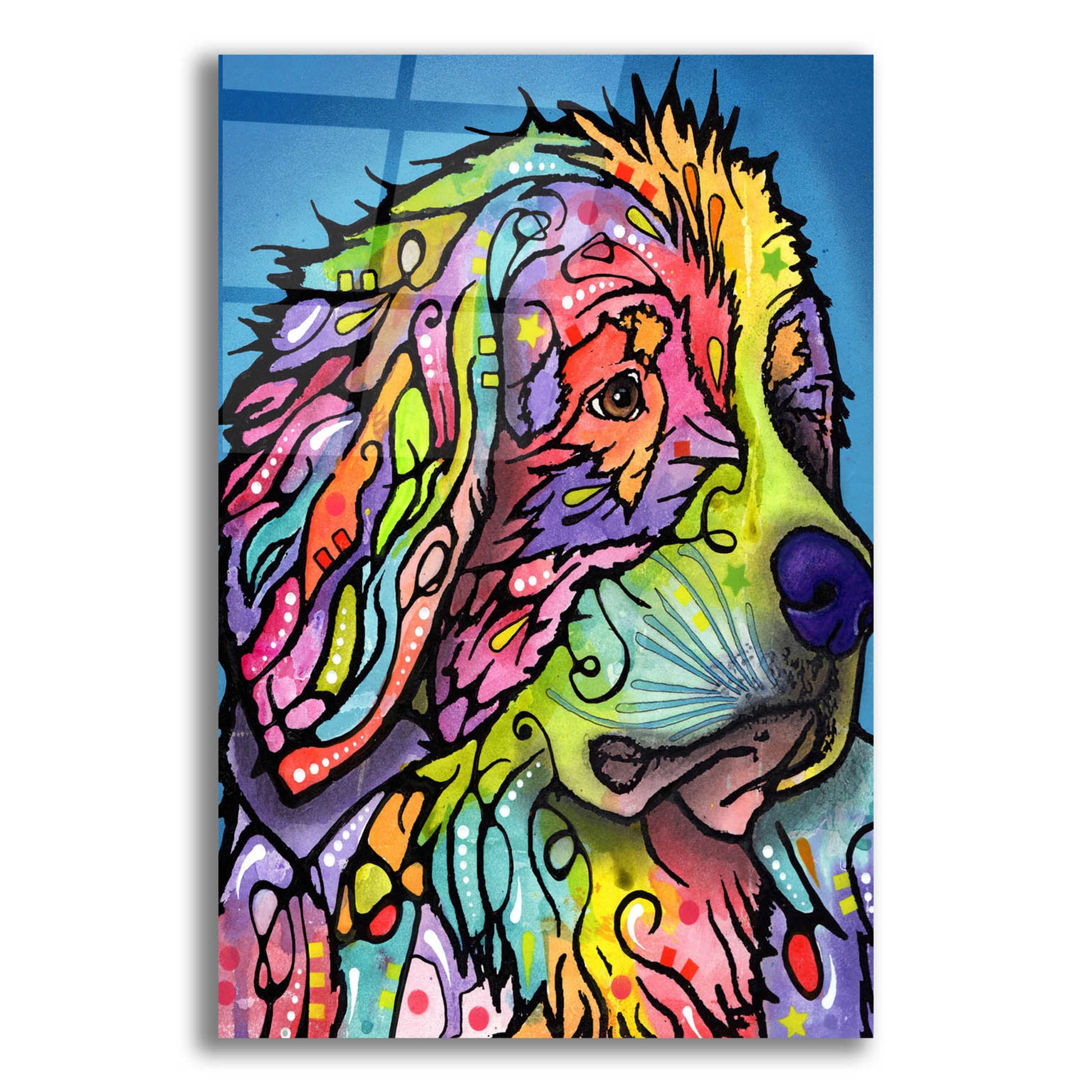 Epic Art 'Mountain Dog' by Dean Russo, Acrylic Glass Wall Art,12x16