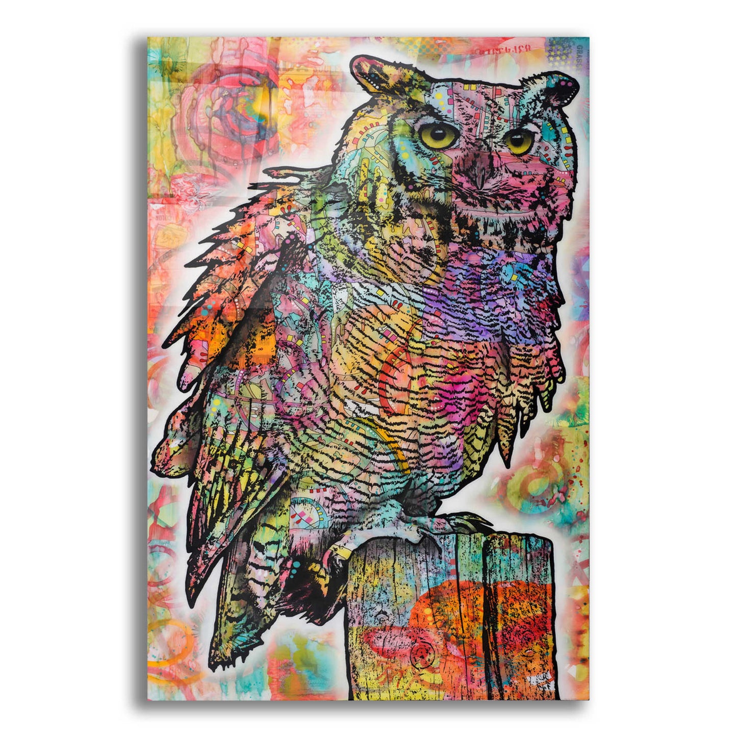 Epic Art 'Owl Perch' by Dean Russo, Acrylic Glass Wall Art,12x16