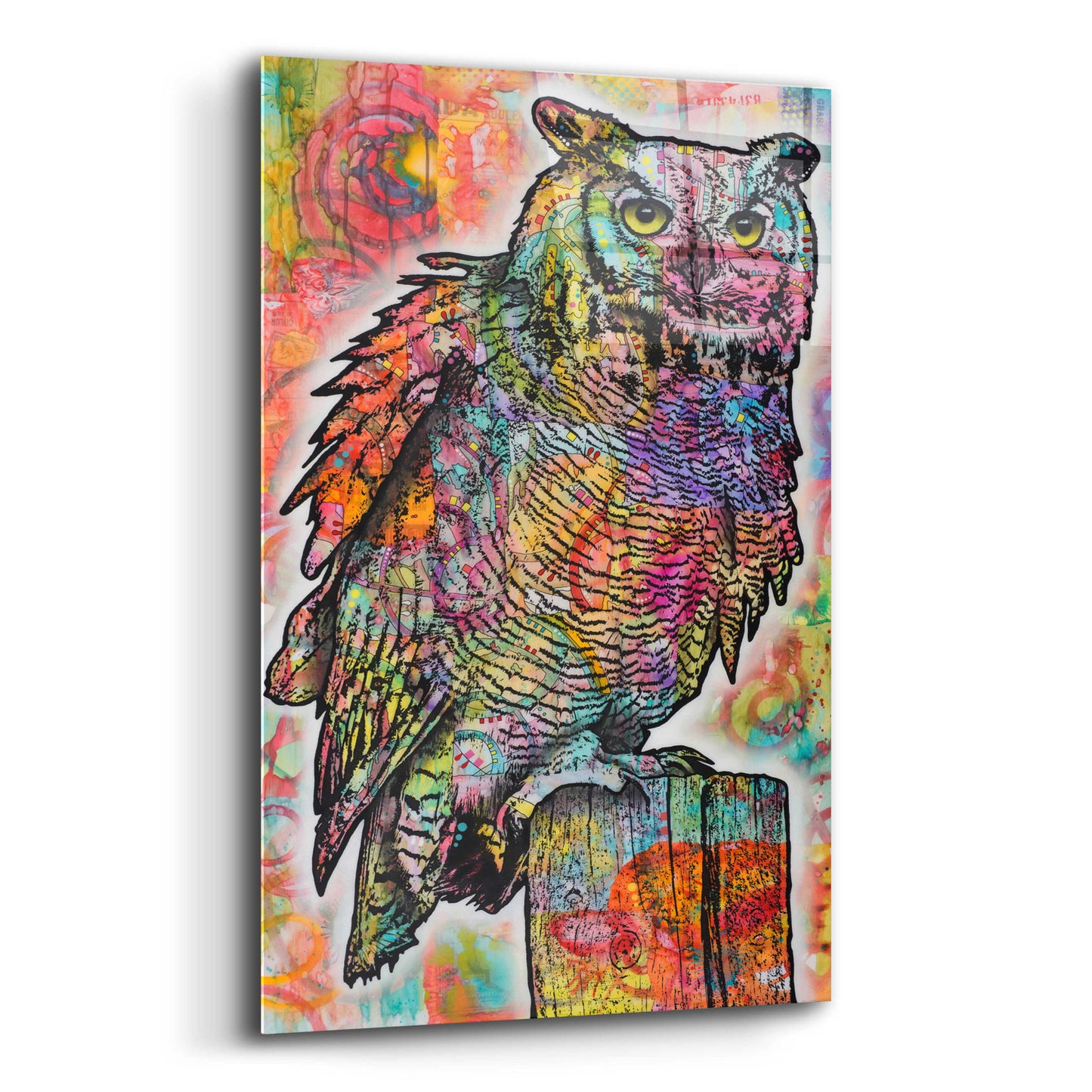 Epic Art 'Owl Perch' by Dean Russo, Acrylic Glass Wall Art,16x24