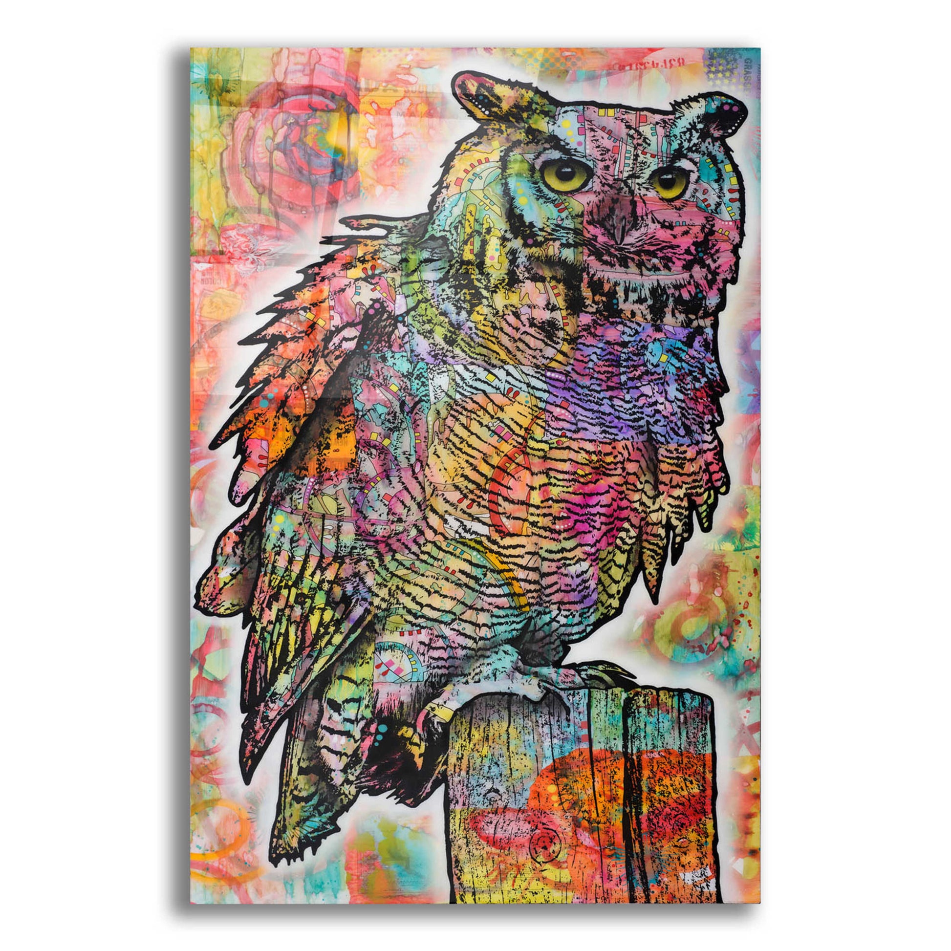 Epic Art 'Owl Perch' by Dean Russo, Acrylic Glass Wall Art,16x24