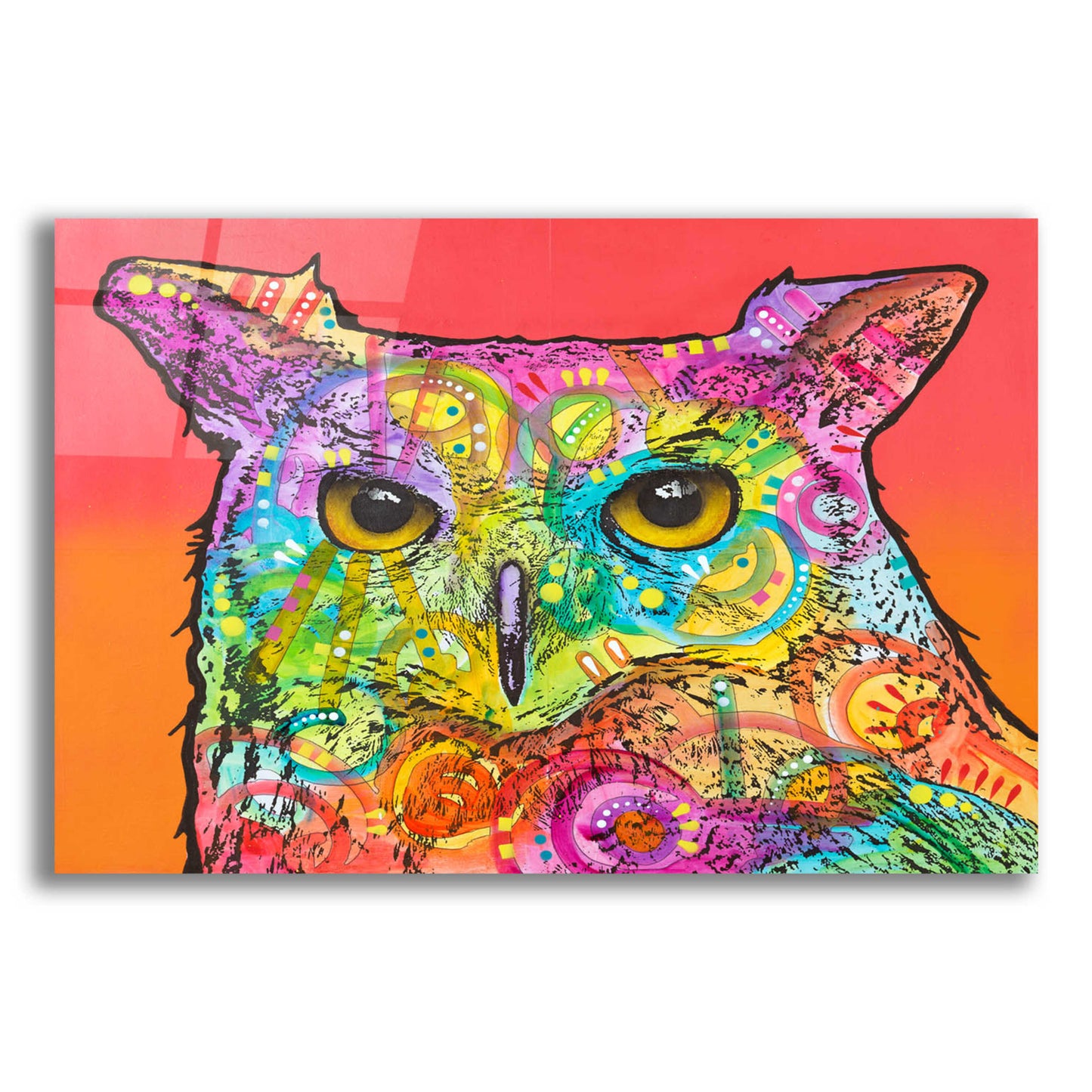 Epic Art 'Red Owl' by Dean Russo, Acrylic Glass Wall Art,24x16