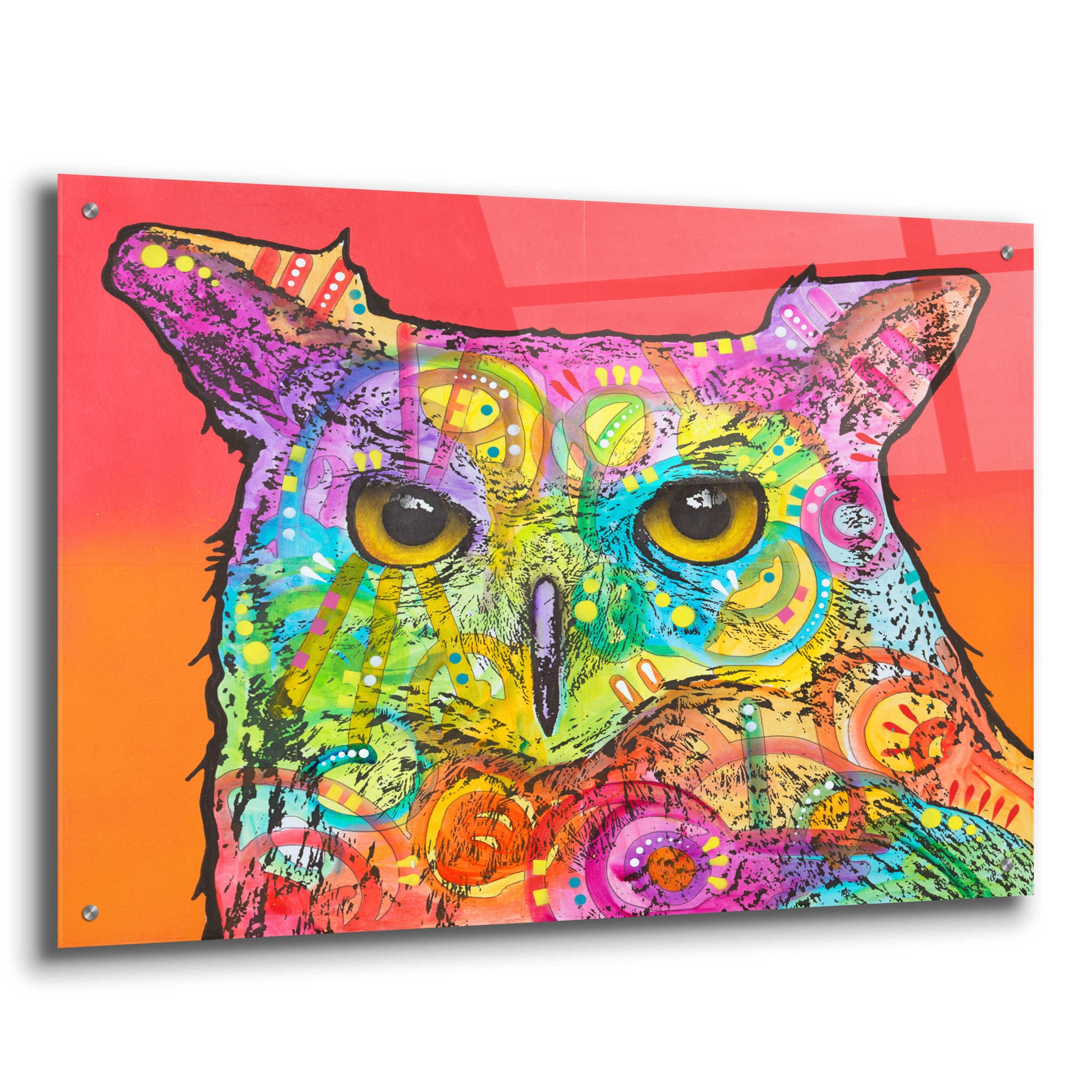 Epic Art 'Red Owl' by Dean Russo, Acrylic Glass Wall Art,36x24
