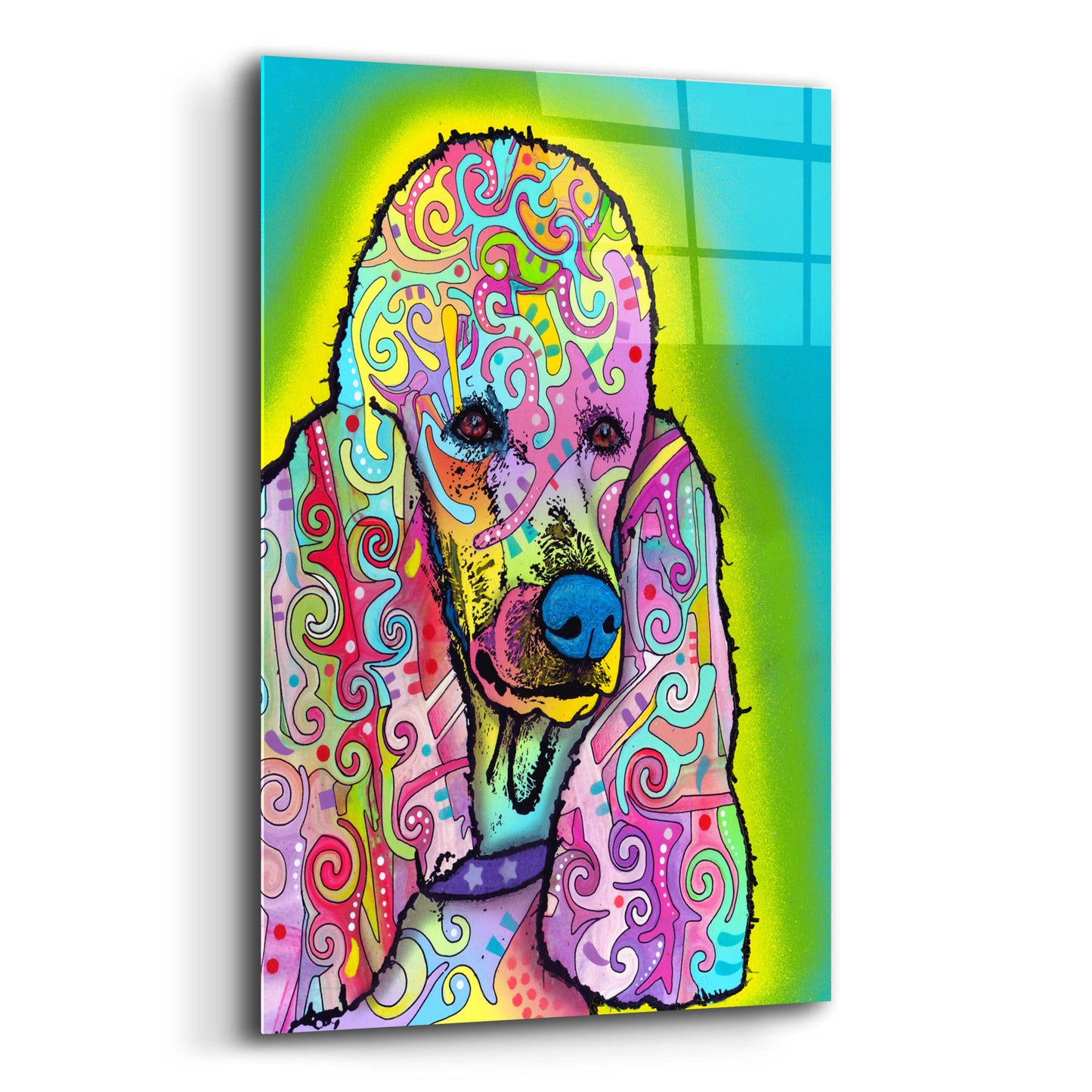 Epic Art 'Poodle' by Dean Russo, Acrylic Glass Wall Art,12x16