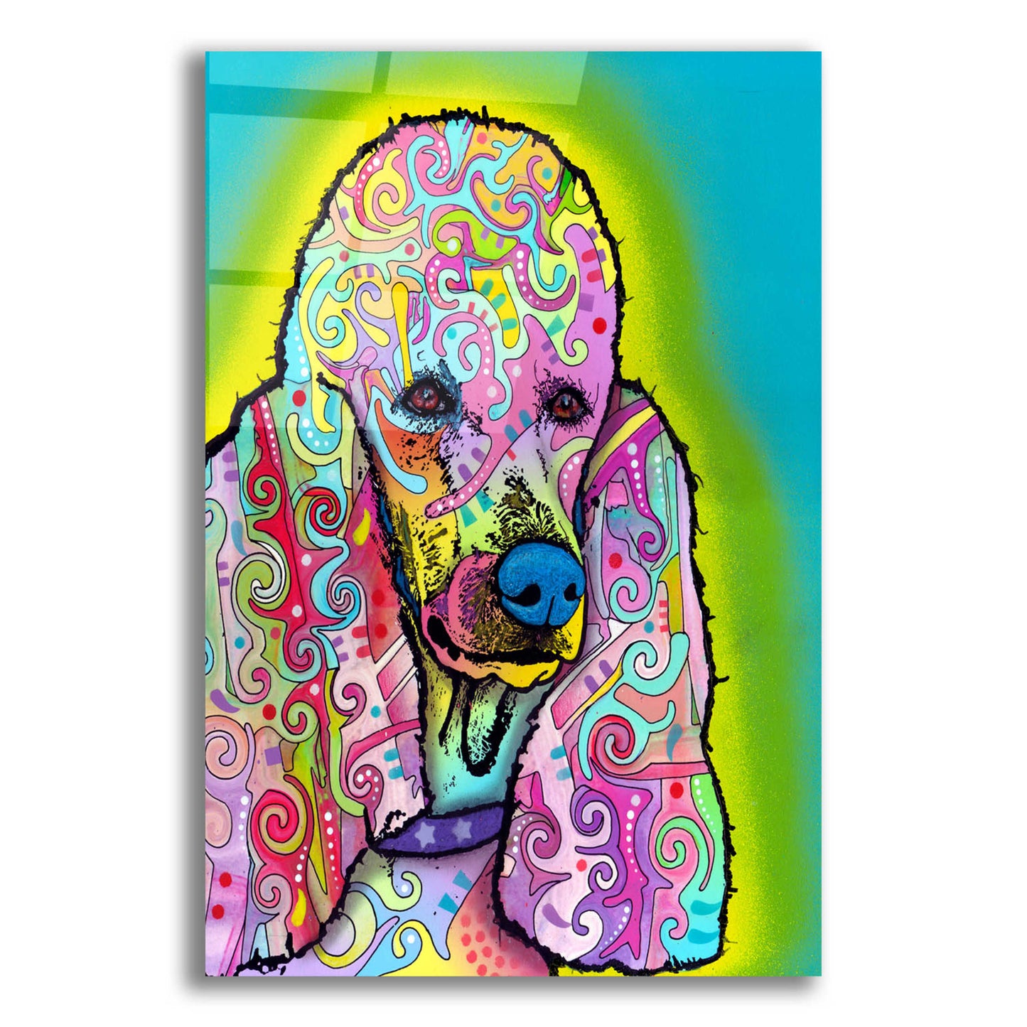 Epic Art 'Poodle' by Dean Russo, Acrylic Glass Wall Art,12x16