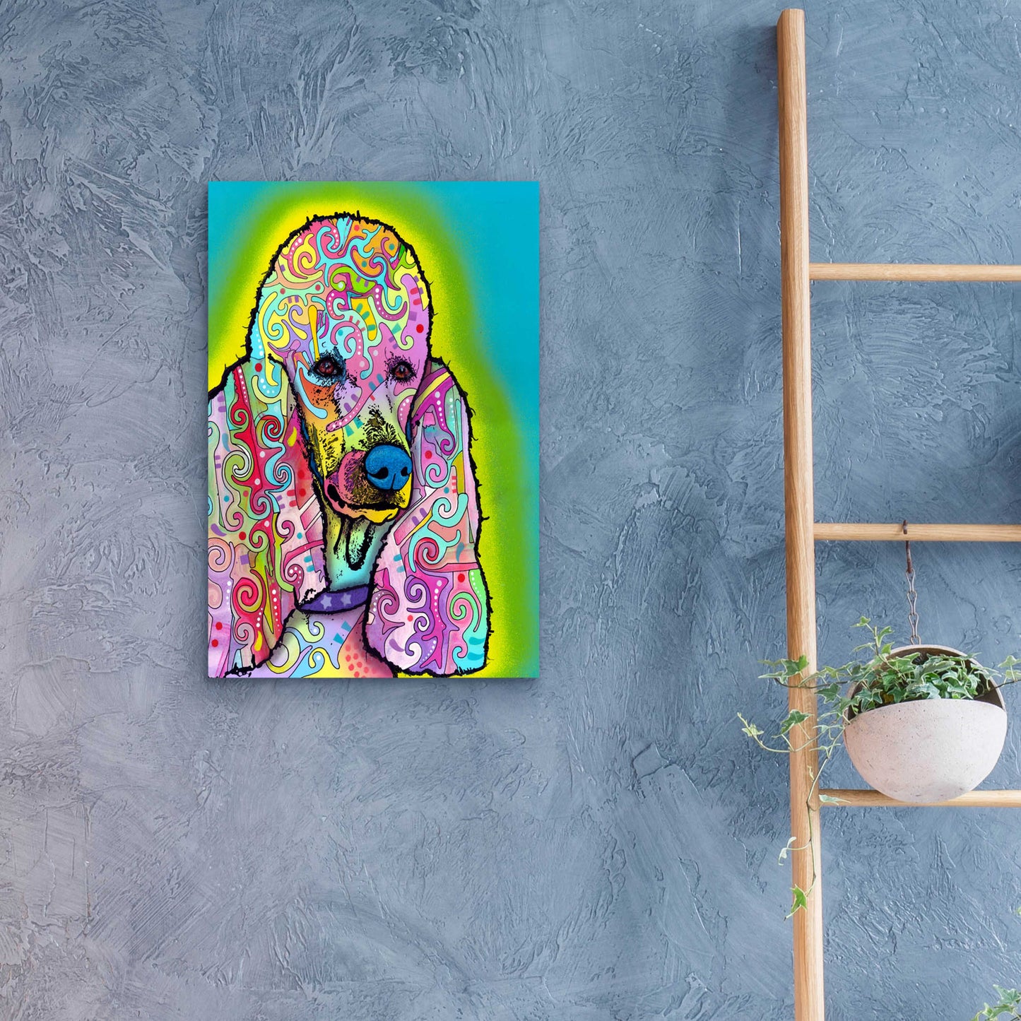 Epic Art 'Poodle' by Dean Russo, Acrylic Glass Wall Art,16x24