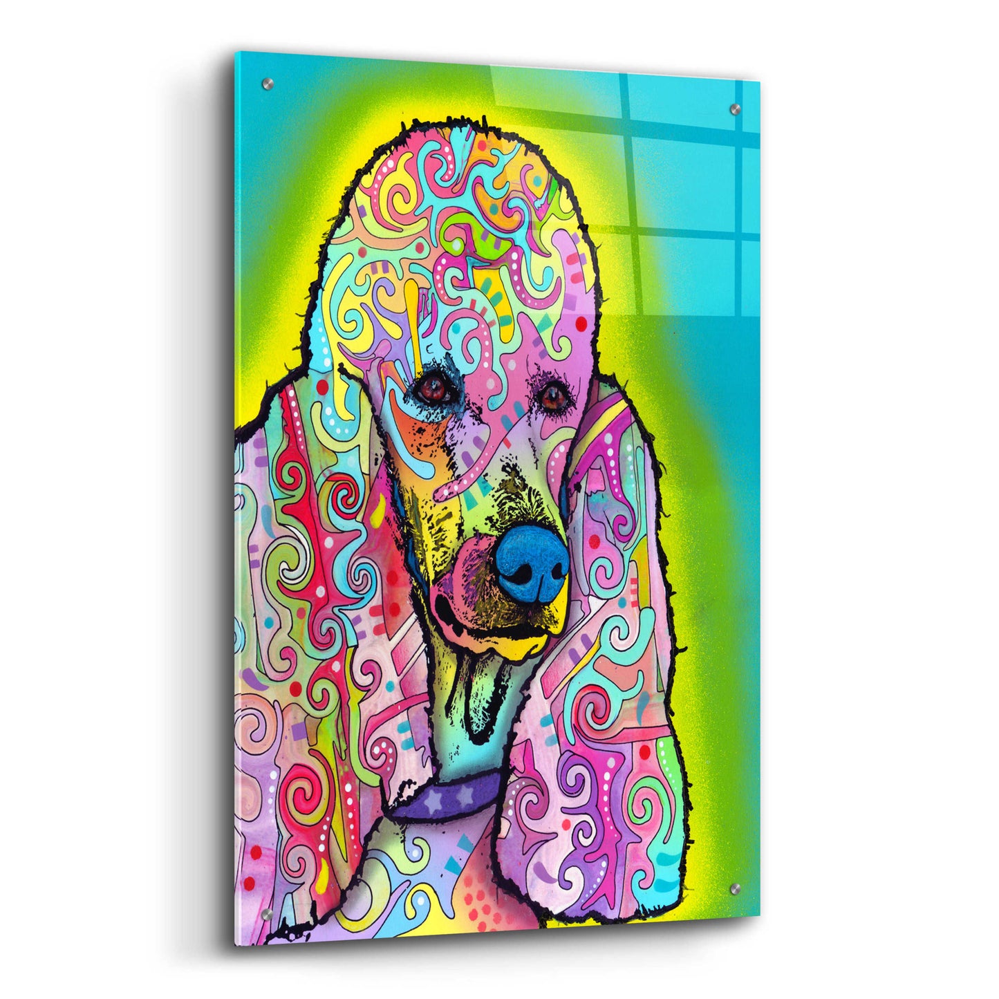 Epic Art 'Poodle' by Dean Russo, Acrylic Glass Wall Art,24x36