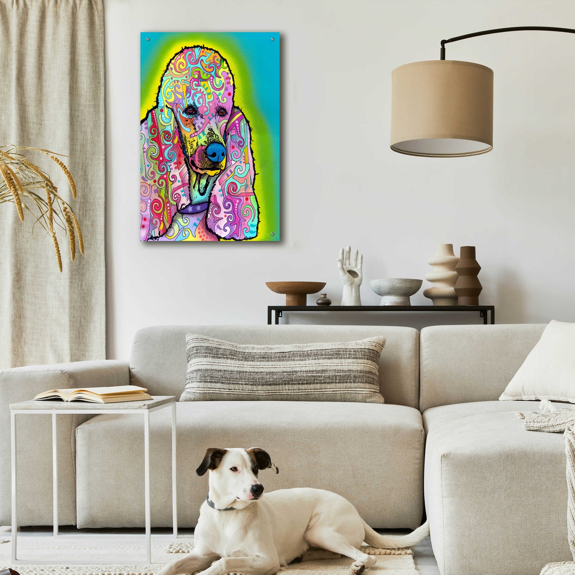 Epic Art 'Poodle' by Dean Russo, Acrylic Glass Wall Art,24x36