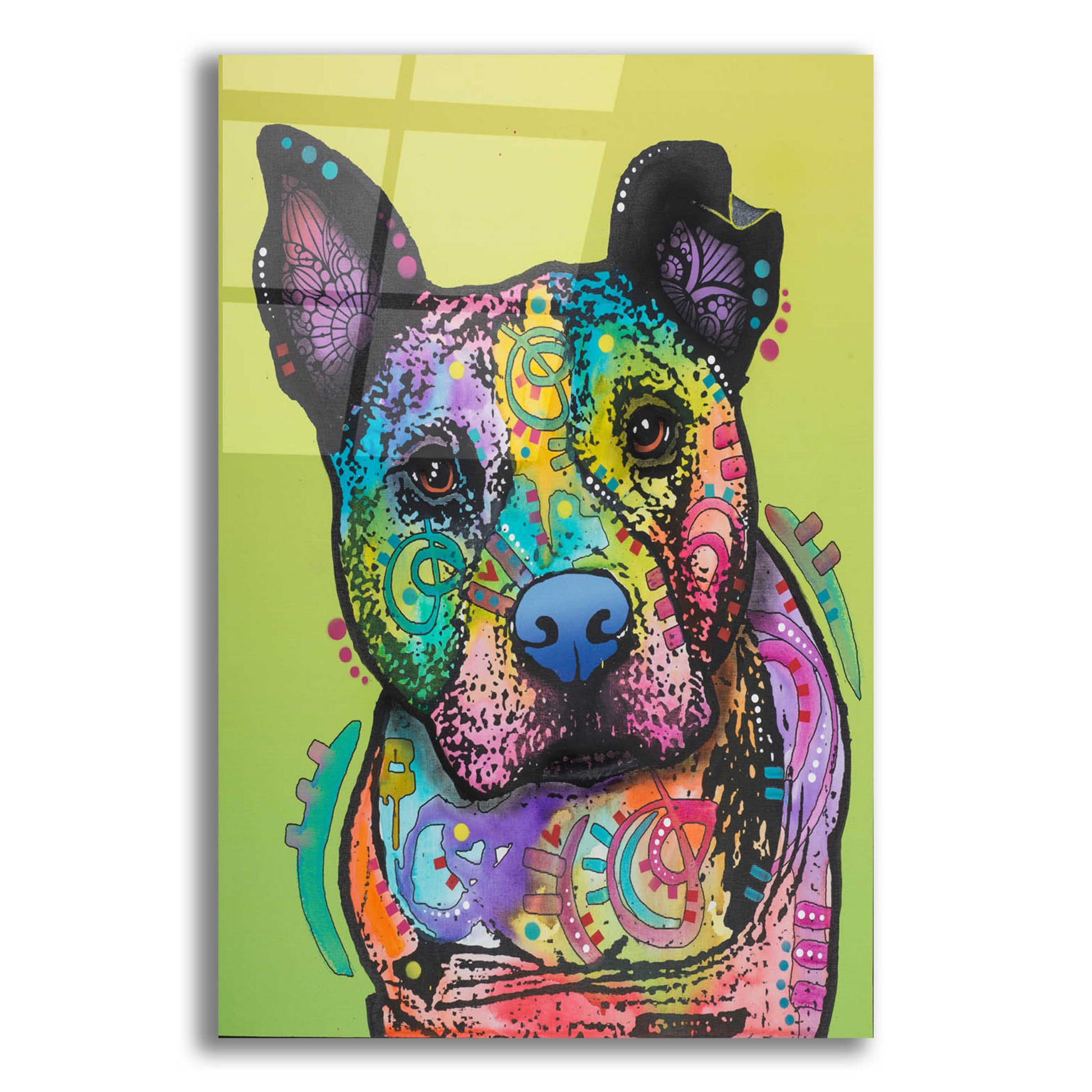 Epic Art 'Lucy' by Dean Russo, Acrylic Glass Wall Art,16x24