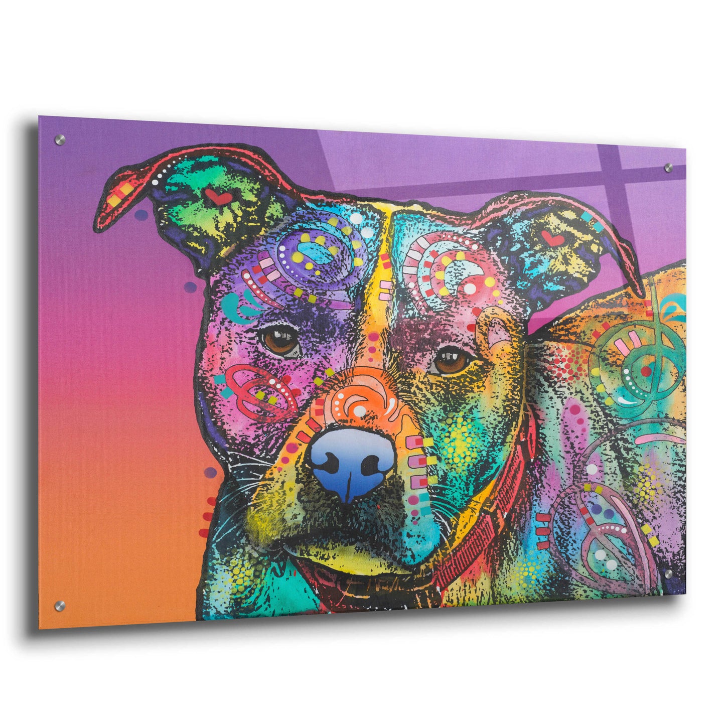 Epic Art 'Lulu' by Dean Russo, Acrylic Glass Wall Art,36x24