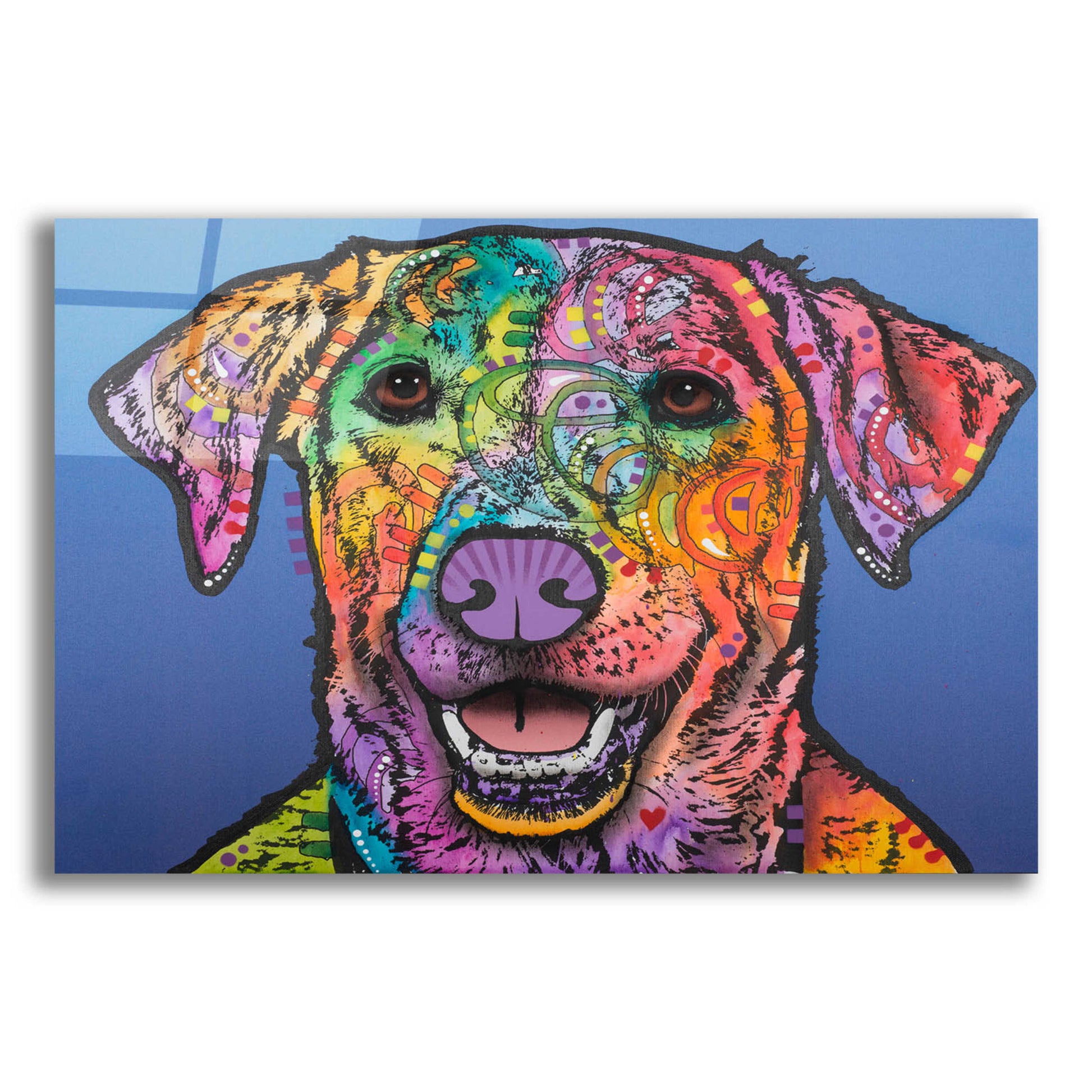 Epic Art 'Rocco ' by Dean Russo, Acrylic Glass Wall Art,16x12